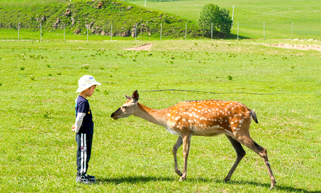 遇见乌兰布统5日游（北京+公主湖+影视基地+皇家鹿苑+金山岭长城+越野穿越草原＋私家牧场骑行＋草原日出日落+篝火晚会＋烤全羊+蒙古茶）