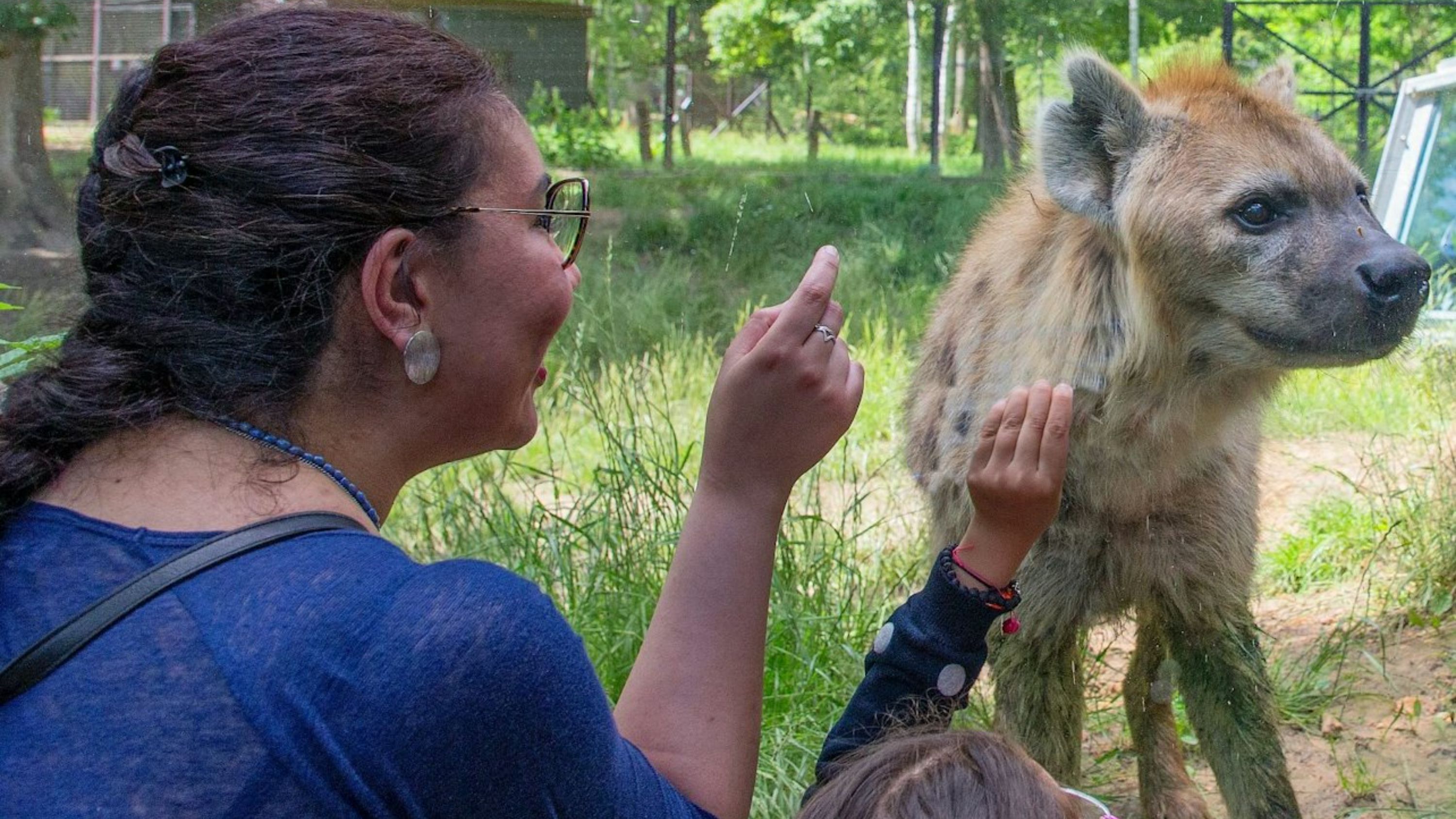 法国 (France) 托里野生动物园 (Safari Thoiry) 门票