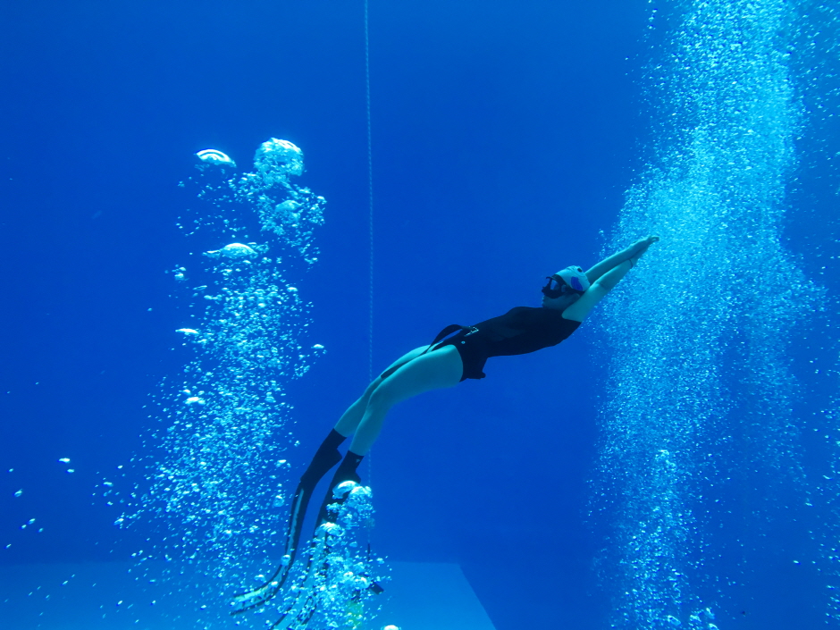大田自由潜水一日课程体验
