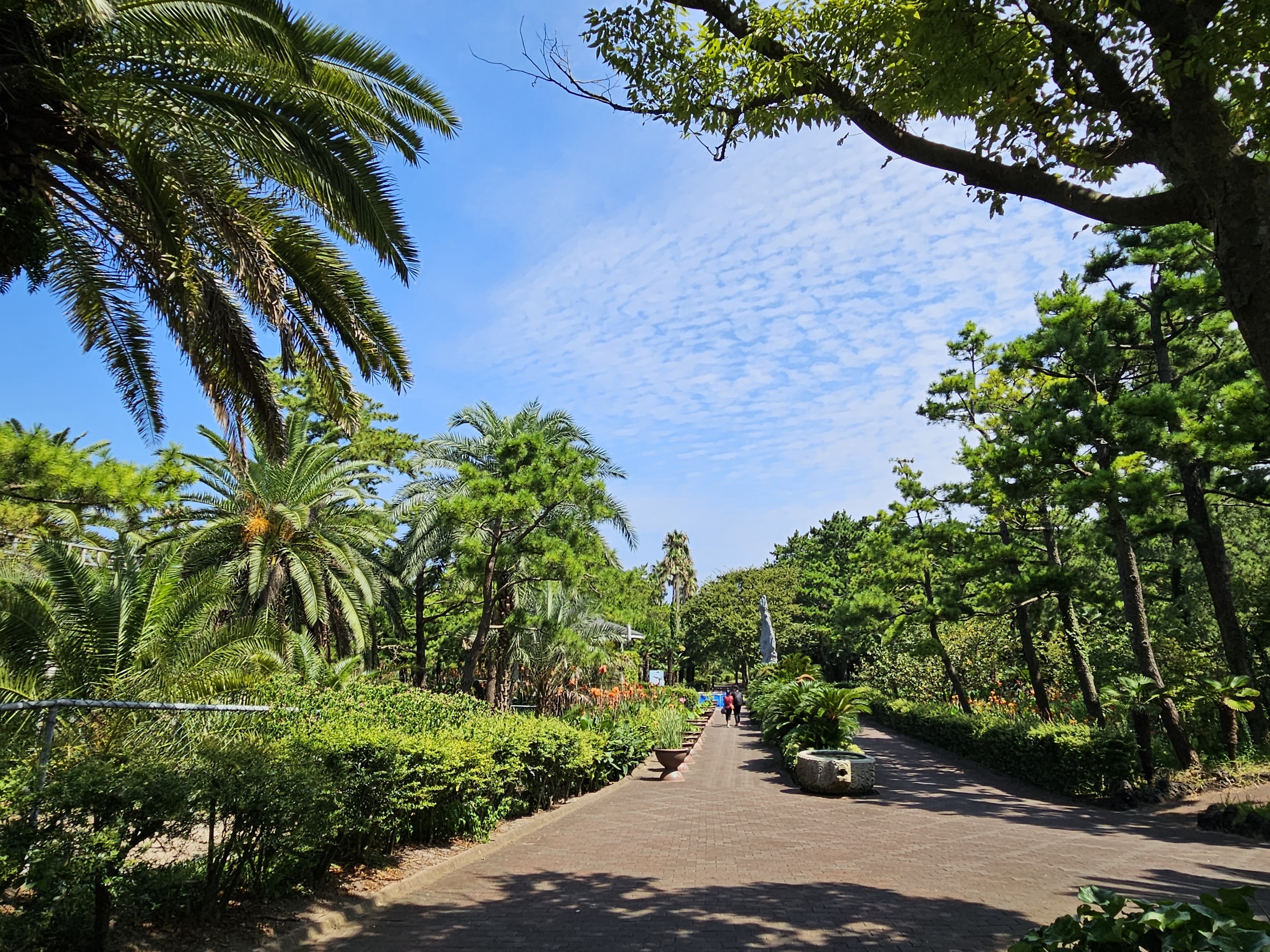 济州翰林公园门票