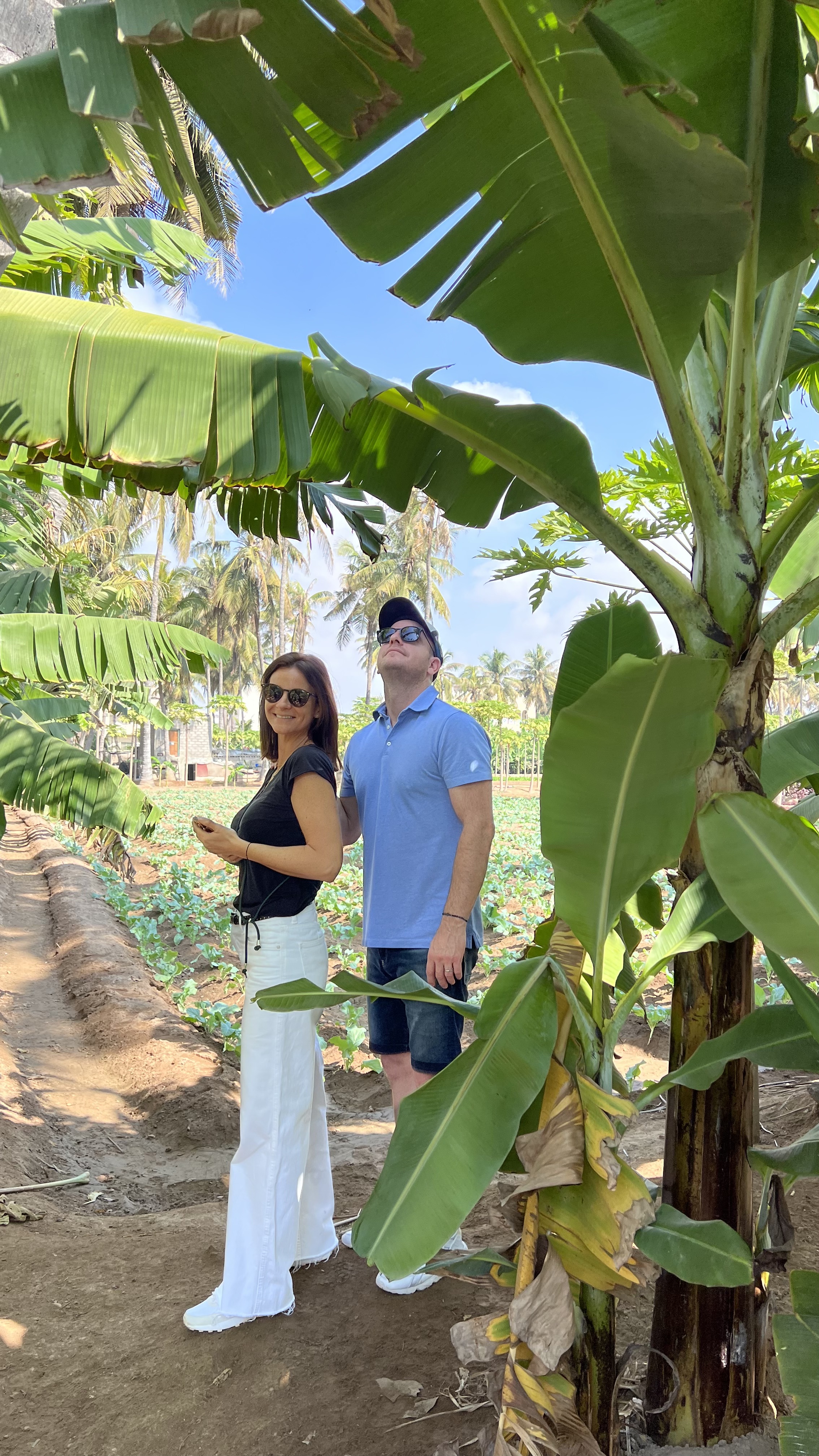 萨拉拉市区观光之旅