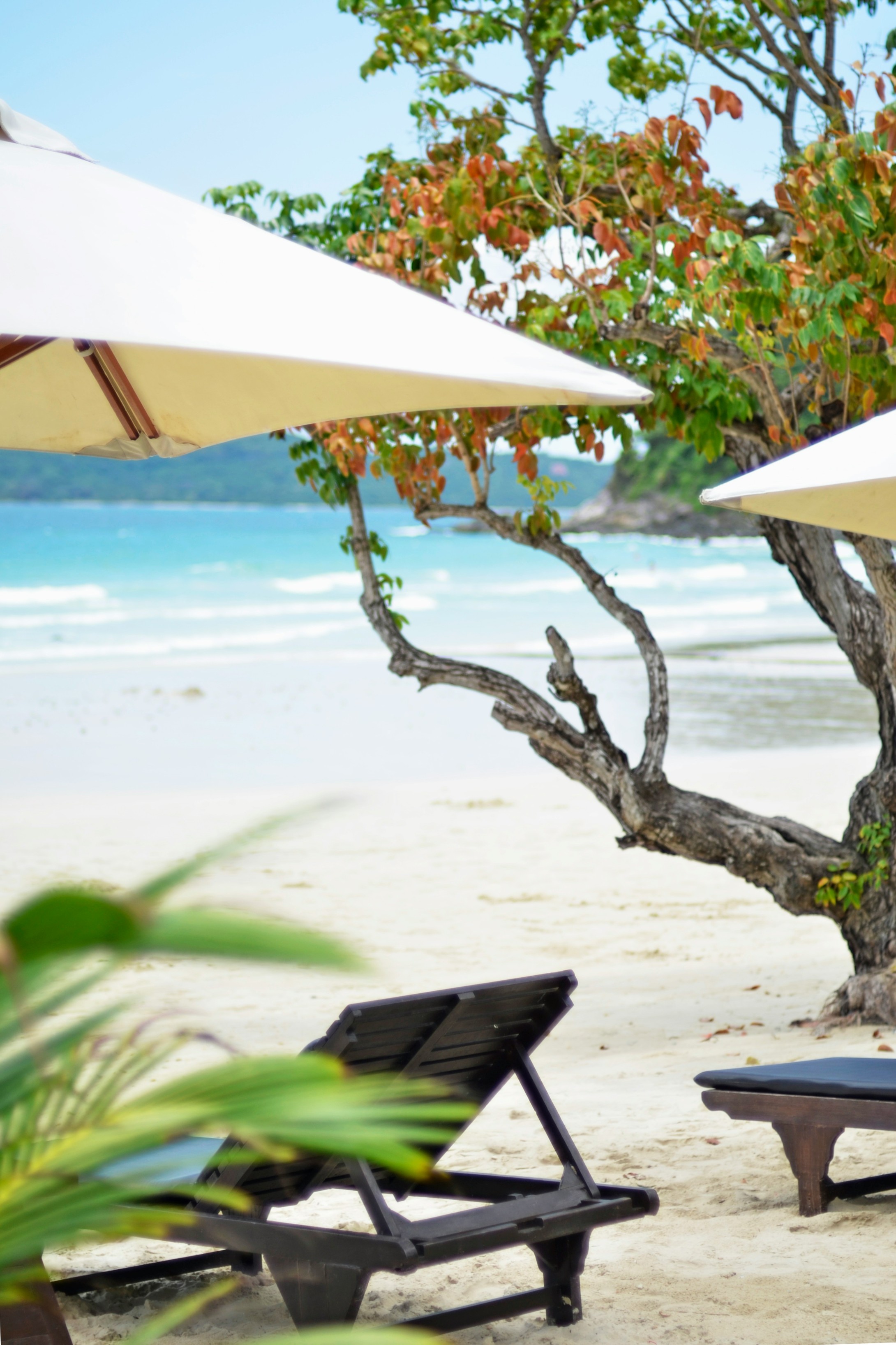 沙岛六岛浮潜之旅