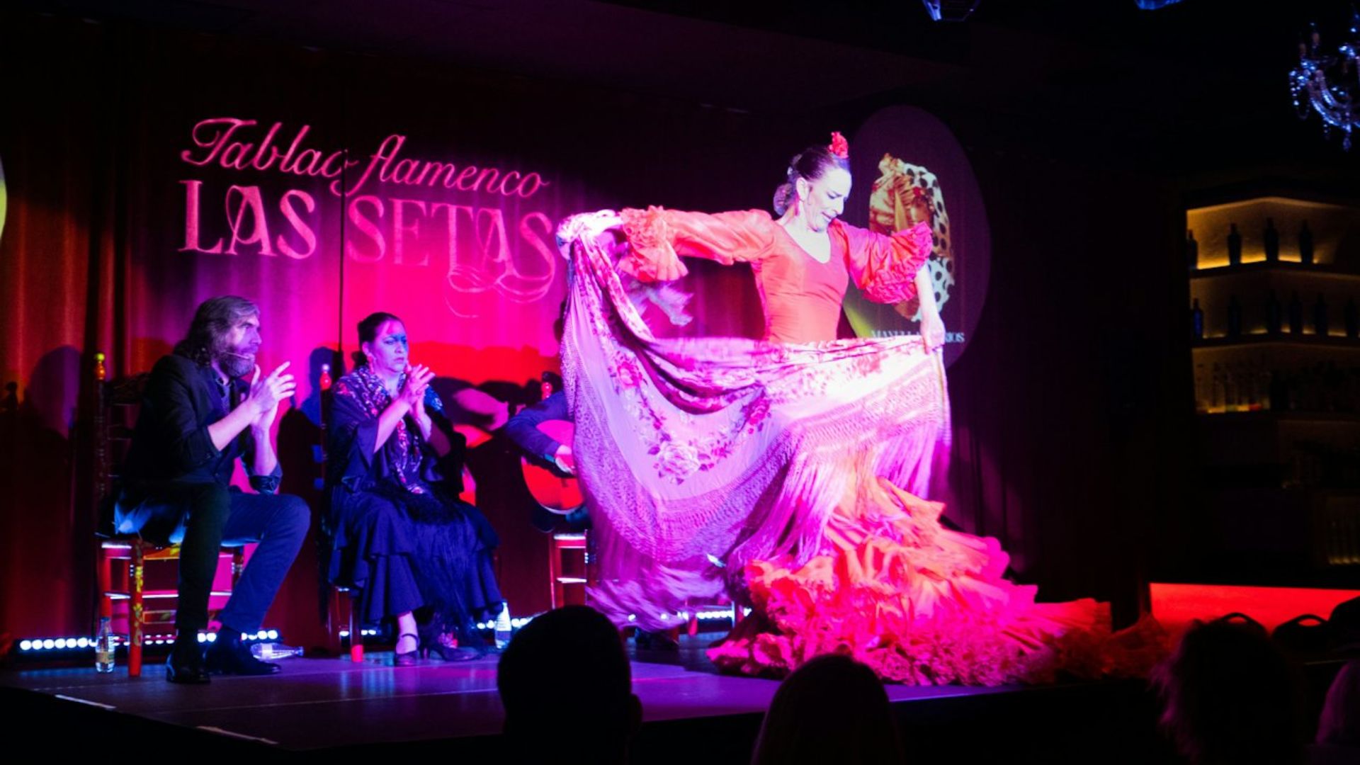 塞维利亚弗拉明戈舞表演 (Tablao Flamenco La Setas, Flamenco show in Seville)