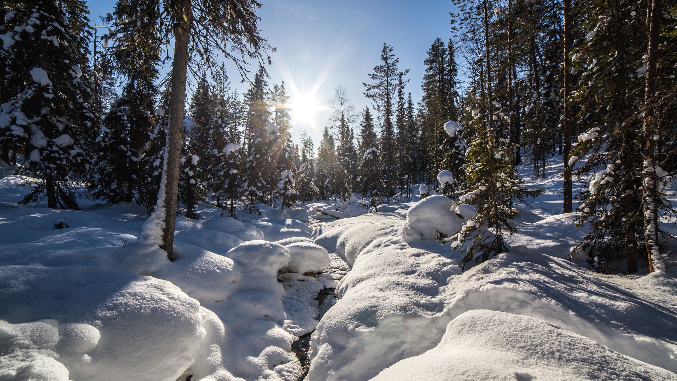 罗瓦涅米 (Rovaniemi) 科罗奥马 (Korouoma) 冰瀑之旅