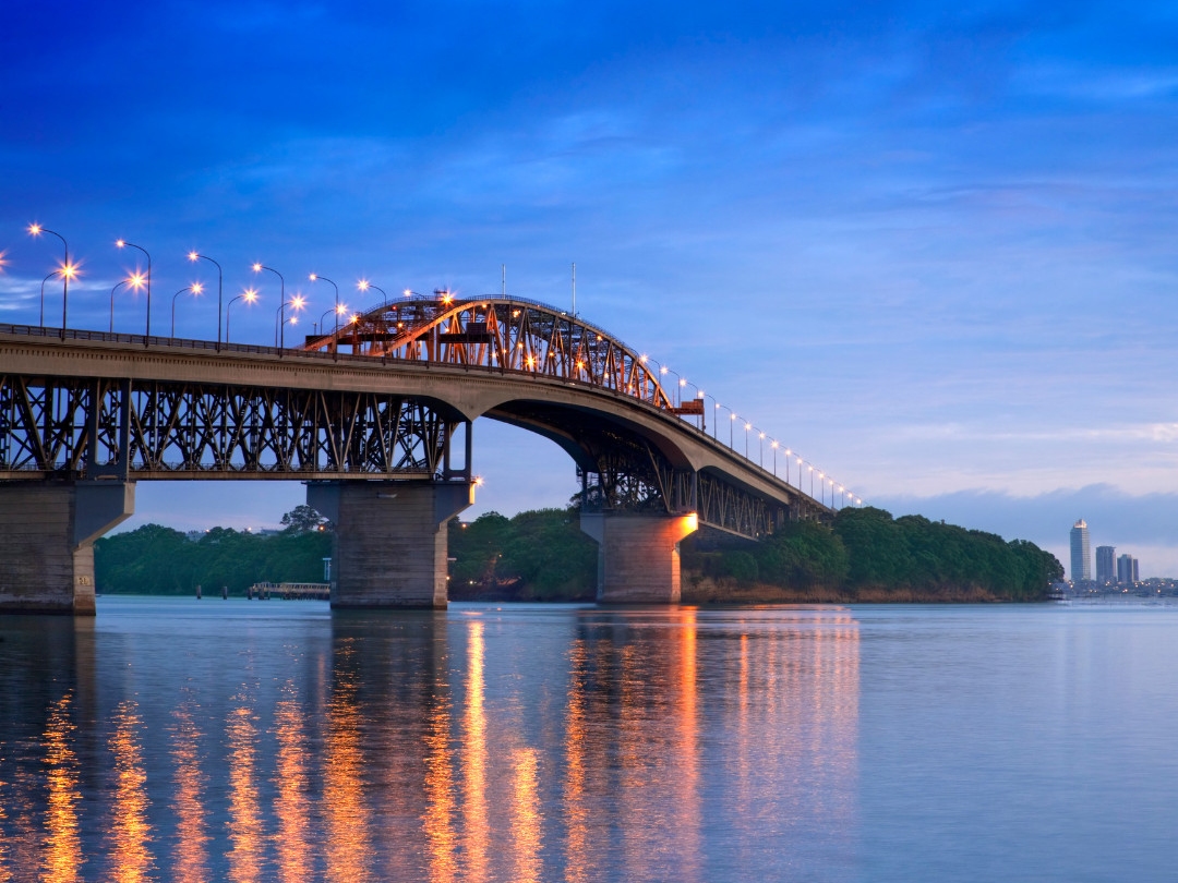 剪羊毛表演及奥克兰城市观光含午餐