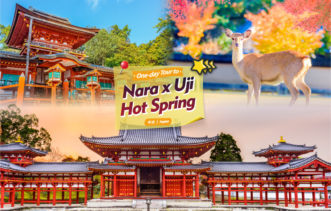 【奈良&宇治】奈良公园&东大寺&平等院&宇治抹茶美食温泉世界遗产一日游 （大阪出发）