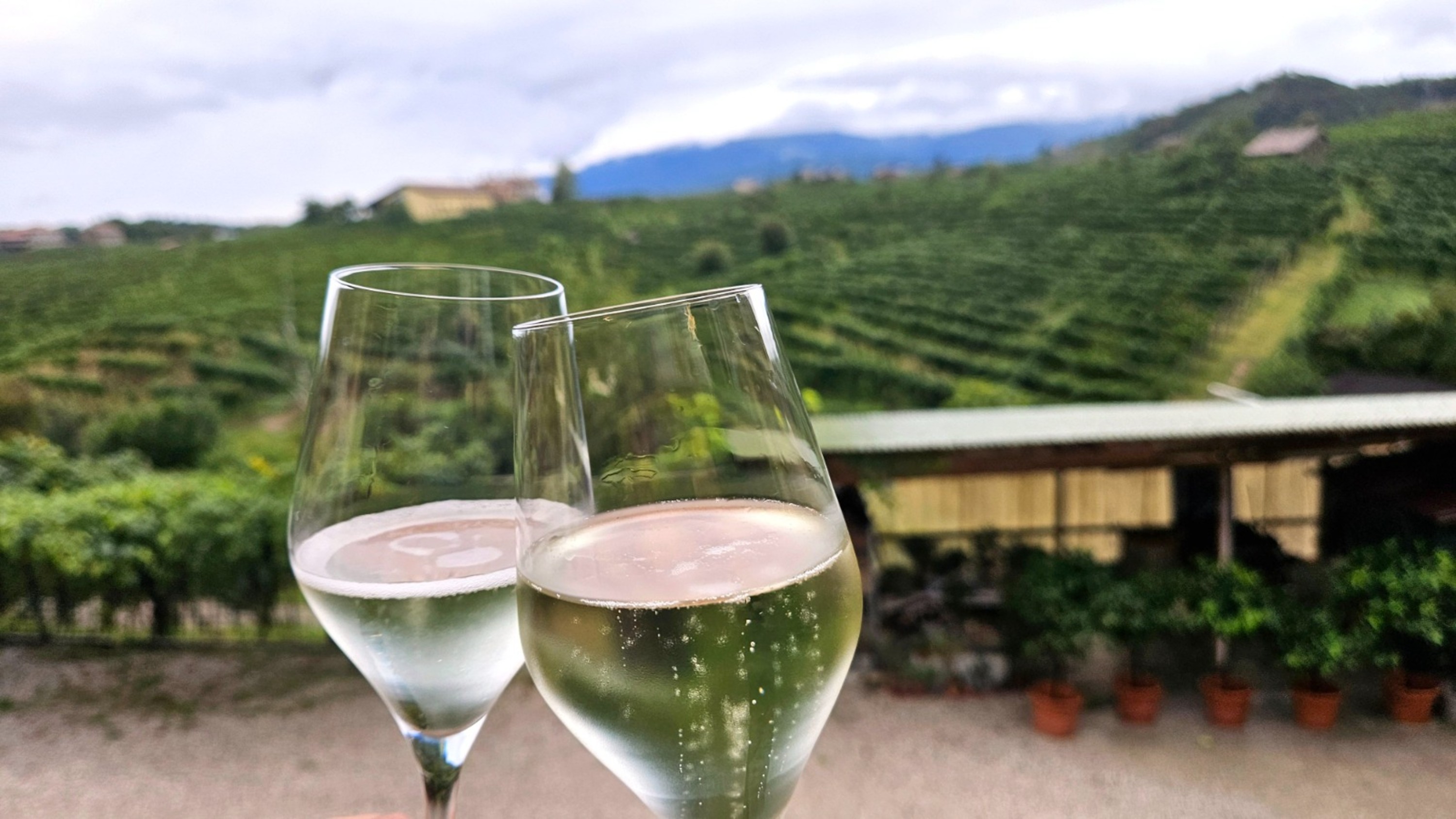 威尼斯出发，普罗塞克酒庄之旅，含葡萄酒品鉴和午餐