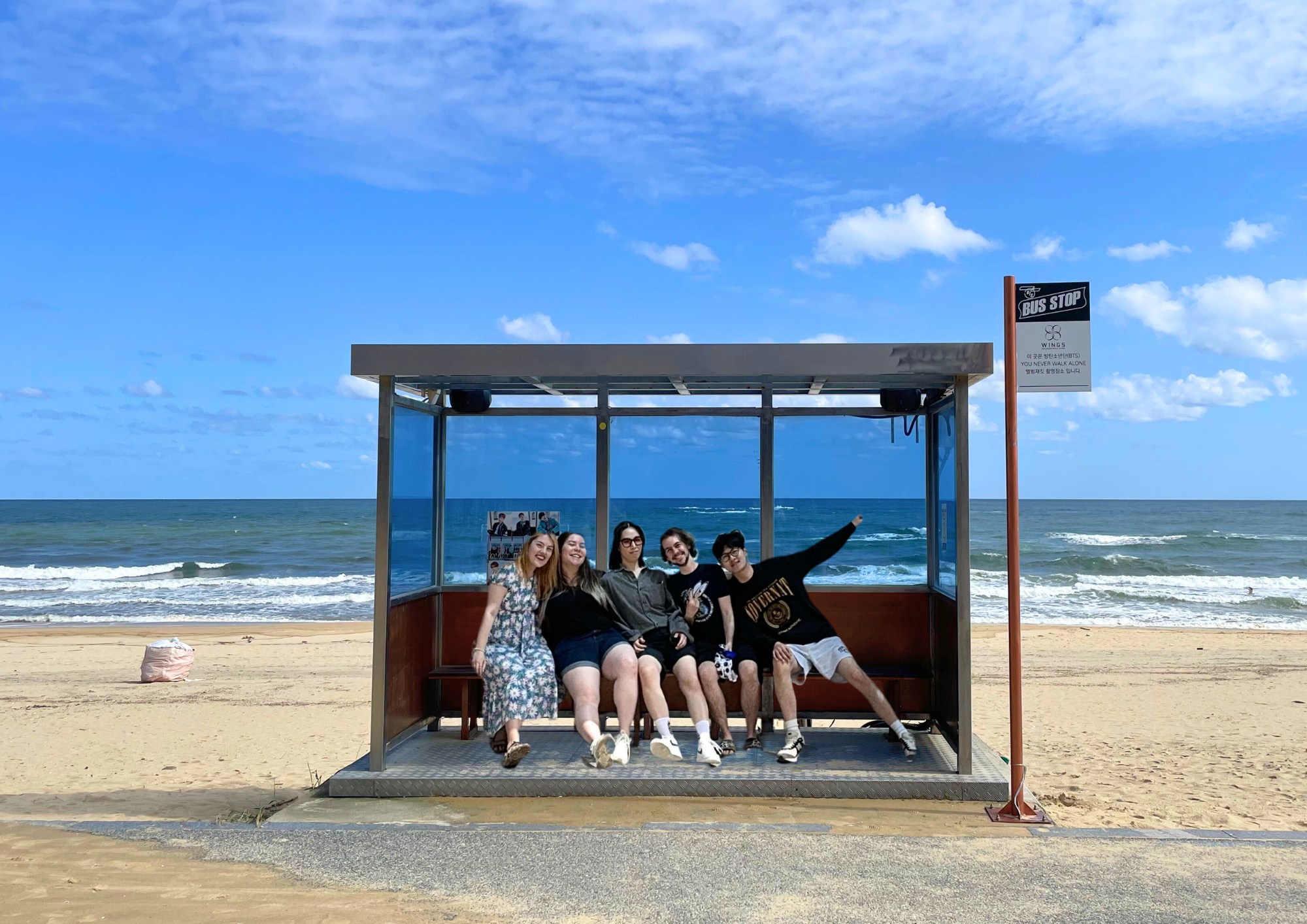 BTS 公交车站打卡 & 韩剧《鬼怪》拍摄地 & 洛山寺 & 羊驼世界