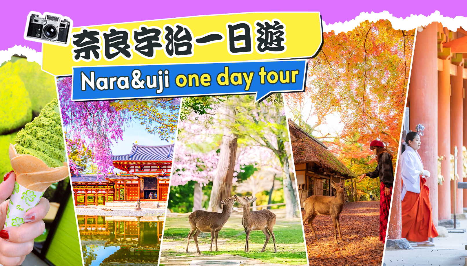 【奈良宇治一日游】平等院・源氏物语博物馆・宇治天然温泉源氏之汤 ・奈良公园・东大寺・春日大社 | 4-9人小团（可选大阪或京都出发）