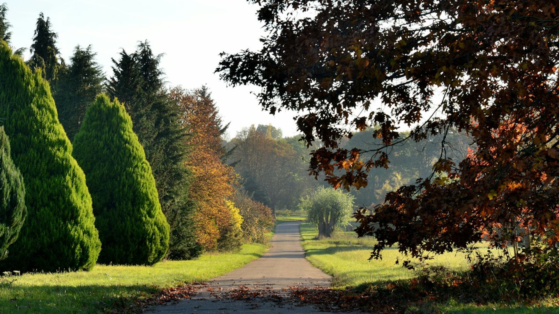 凡尔赛-谢夫勒卢树木园 (Arboretum de Versailles-Chevreloup) 门票（罗肯库尔）