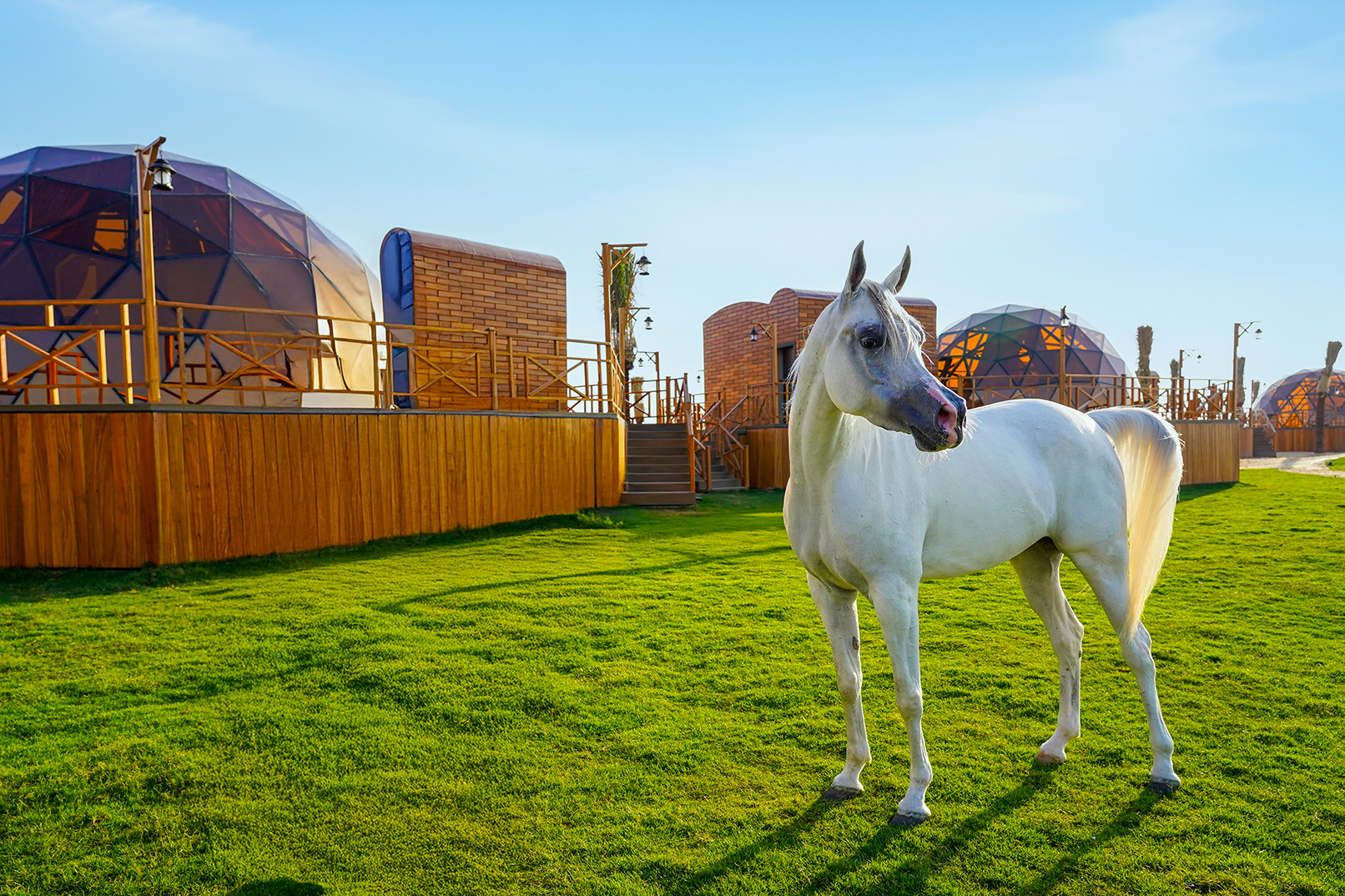 迪拜阿玛尔穆姆穹顶沙漠豪华露营及用餐体验