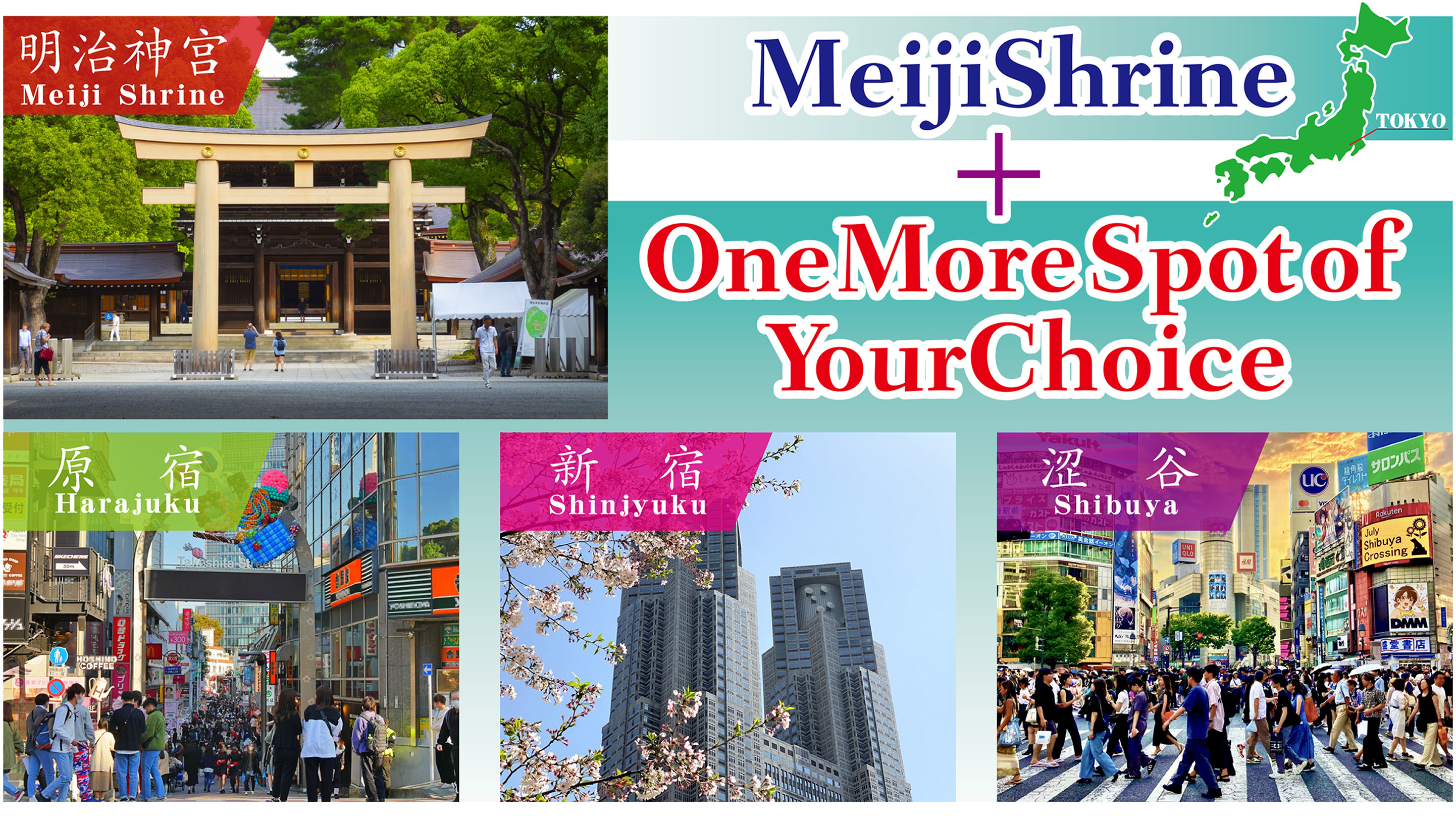 东京明治神宫与浅草寺 4 小时私人旅游