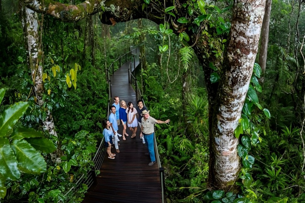 库兰达、空中缆车和观景铁路一日游（含接送服务）