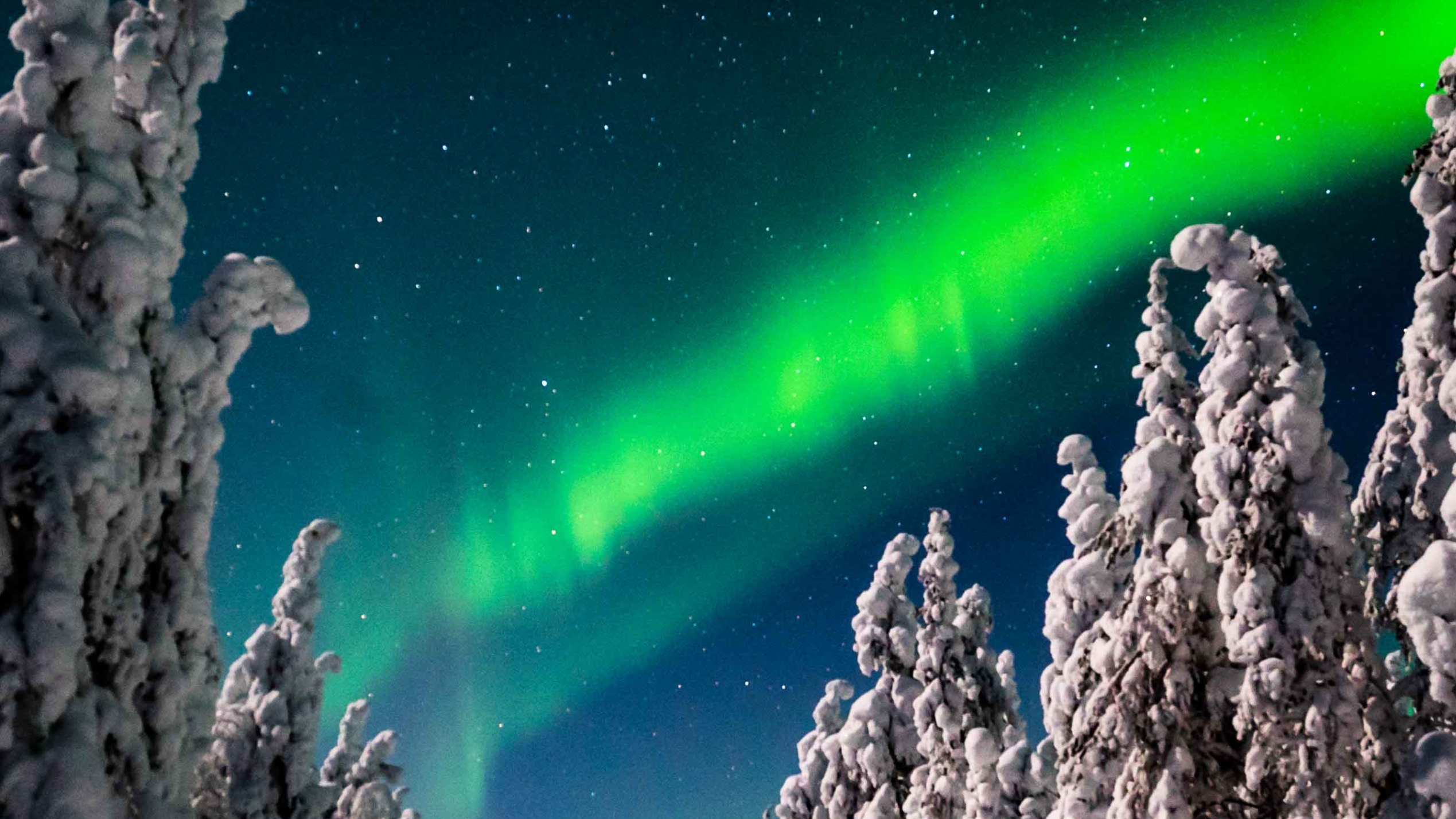 探索罗瓦涅米 (Rovaniemi) 北极光之旅