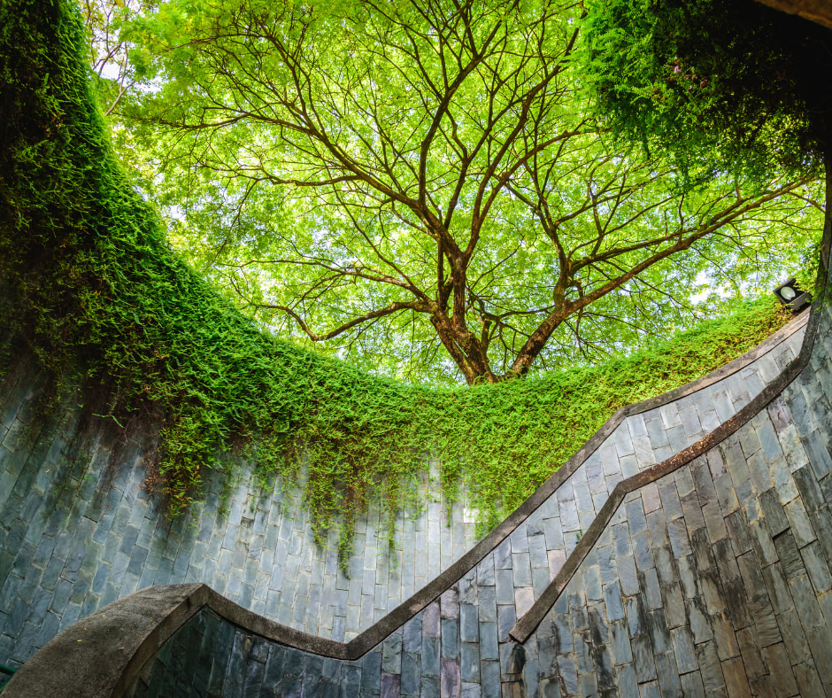 福康宁山和市政区文化遗产徒步之旅