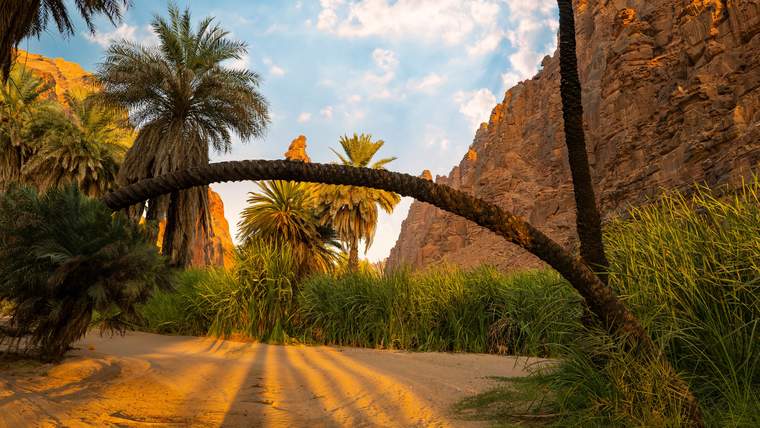 探索迪萨谷的奇观