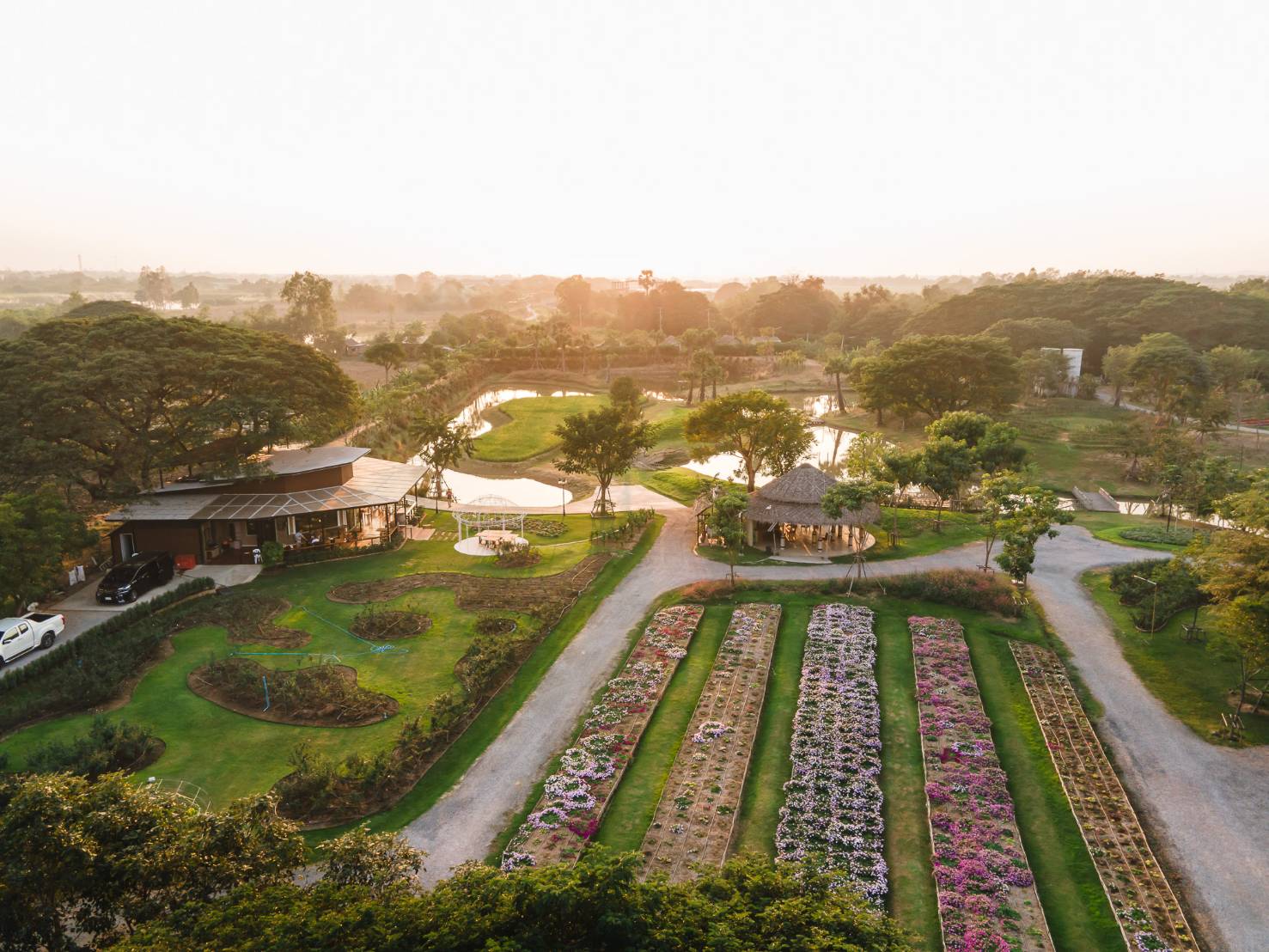 大城咖啡馆、寺庙和画廊船屋之旅（曼谷出发）