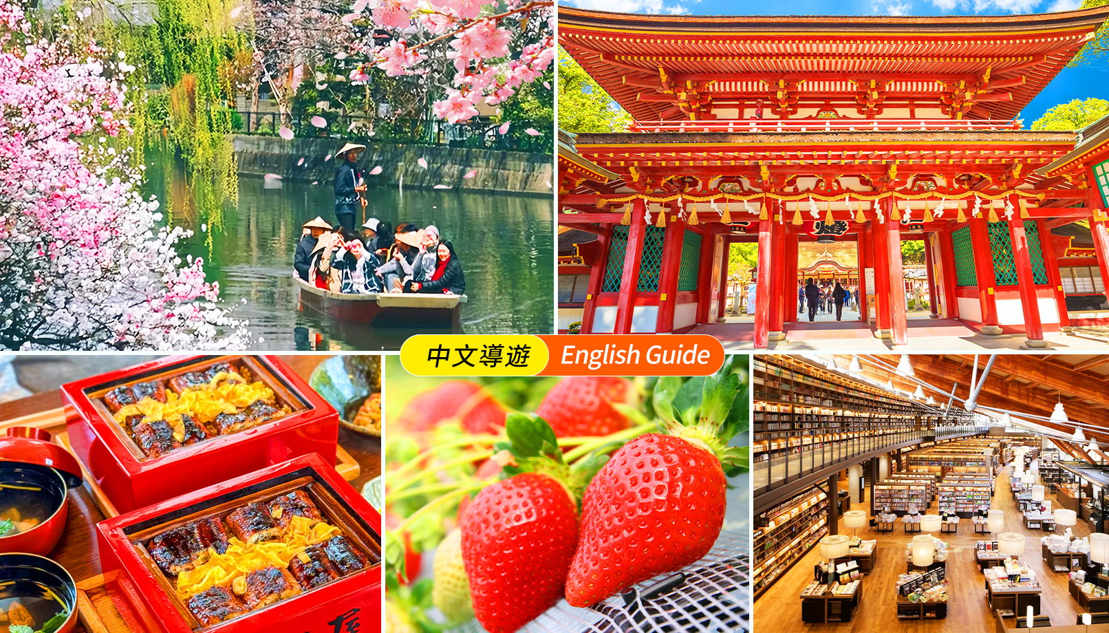 九州｜草莓采摘/武雄神社·柳川划船体验·太宰府天满宫·九州国立博物馆一日游｜福冈出发