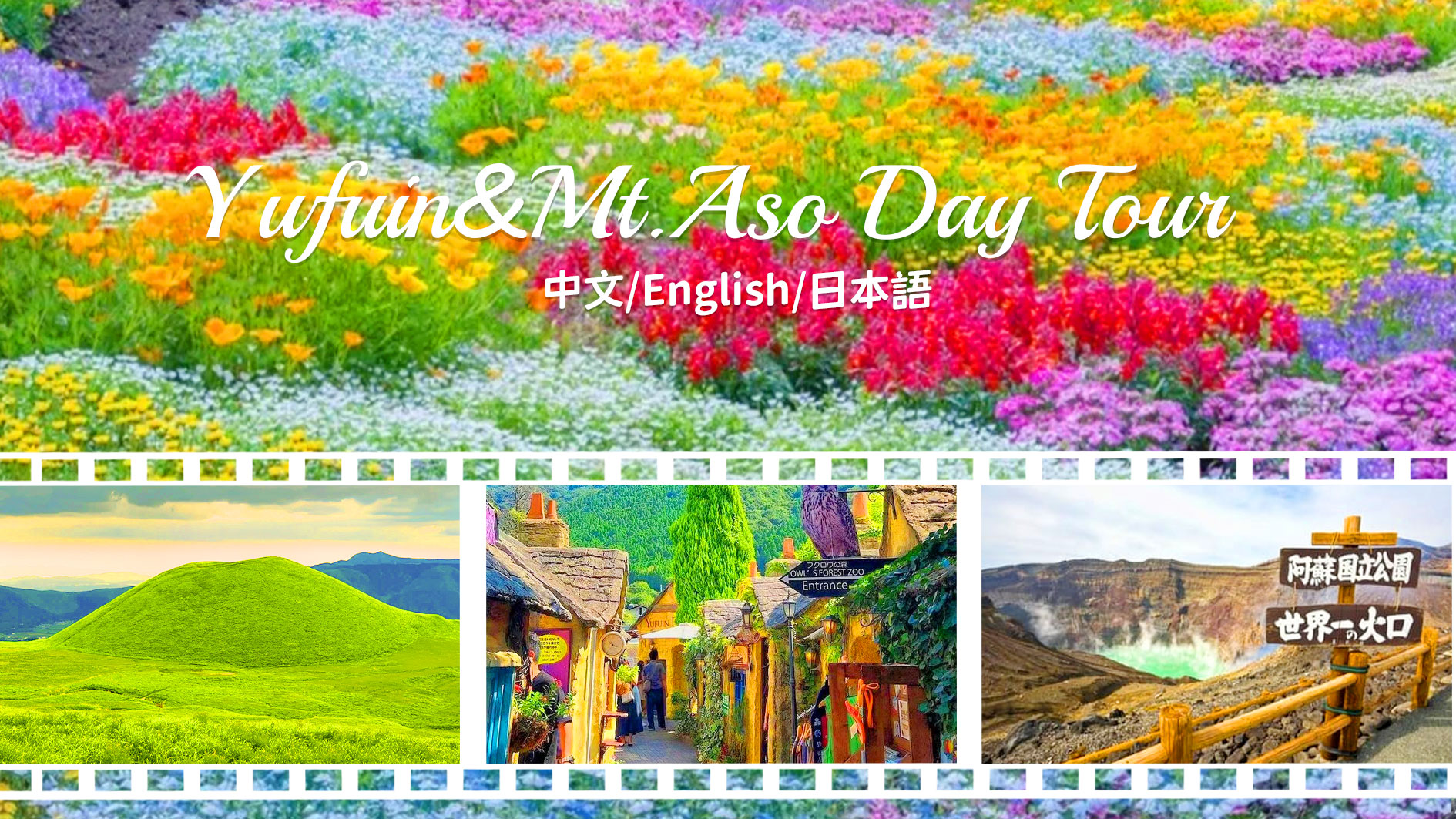 九州别府阿苏山｜由布院&久住花卉公园&阿苏山&草千里一日游（福冈出发）