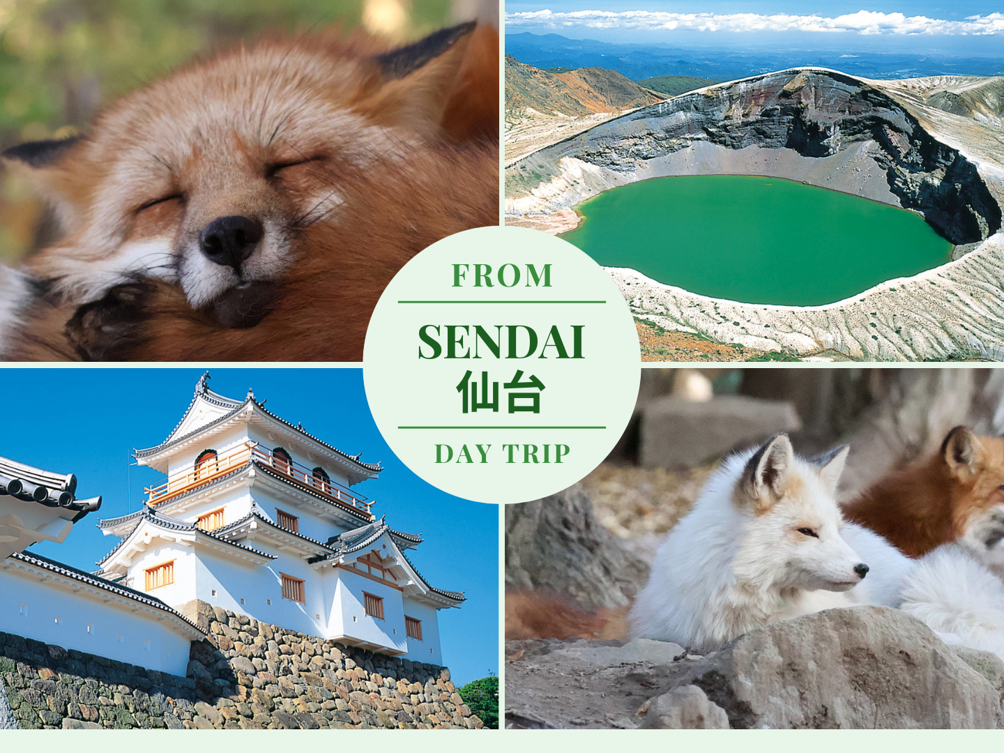 宫城藏王御釜＆狐狸村一日游（仙台出发）