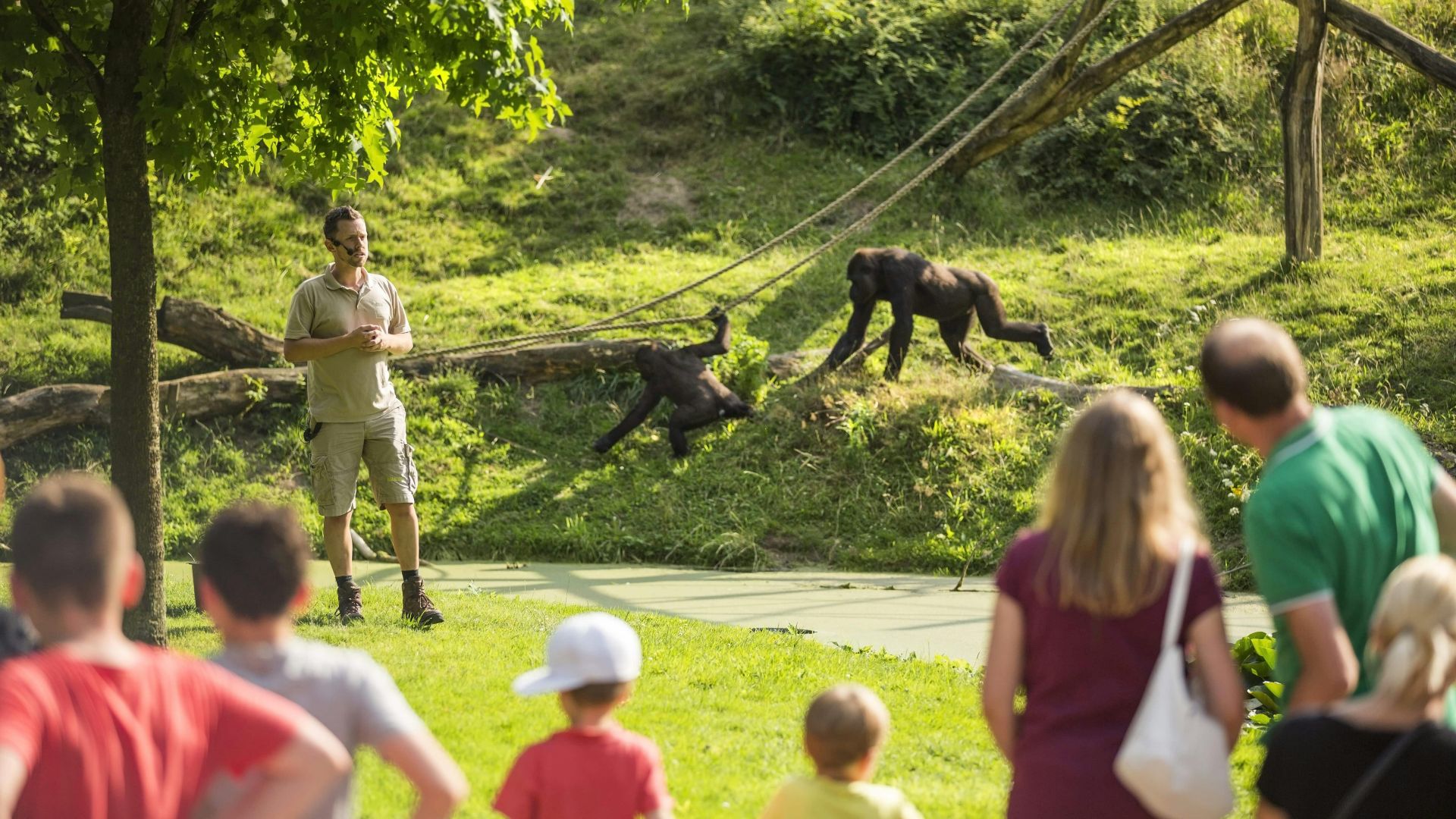 凯尔克拉德 GaiaZOO 门票
