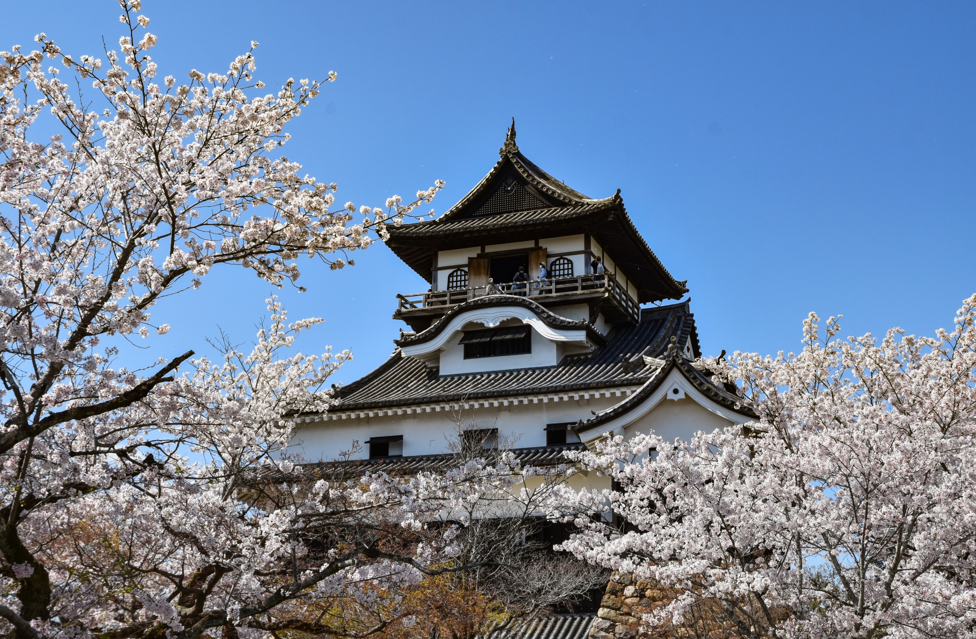 犬山城＆恵那峡＆马笼宿&妻笼宿（名古屋出发）