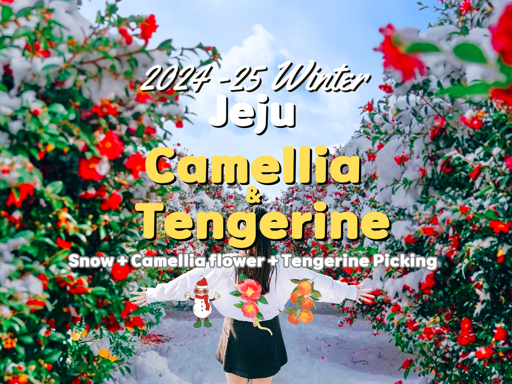 济州山茶花、橘子与白雪冬季季节之旅 (Jeju Camellia & Tangerine & Snow Winter Seasonal Tour)