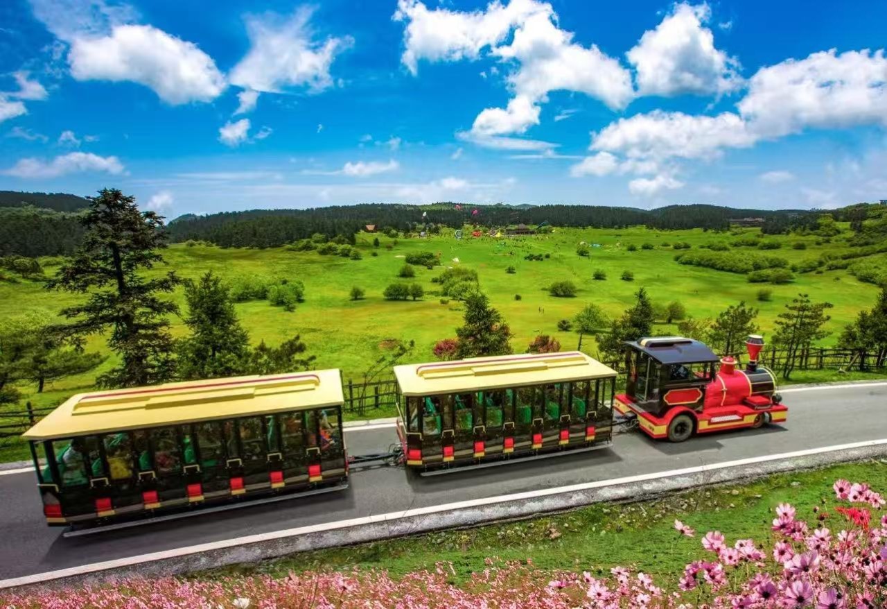 重庆武隆1日私人导览高奢之旅•武隆天生三桥+仙女山森林公园+乌江画廊+12小时畅游重庆三大旅游胜地+变形金刚4同款取景地+南国第一牧场
