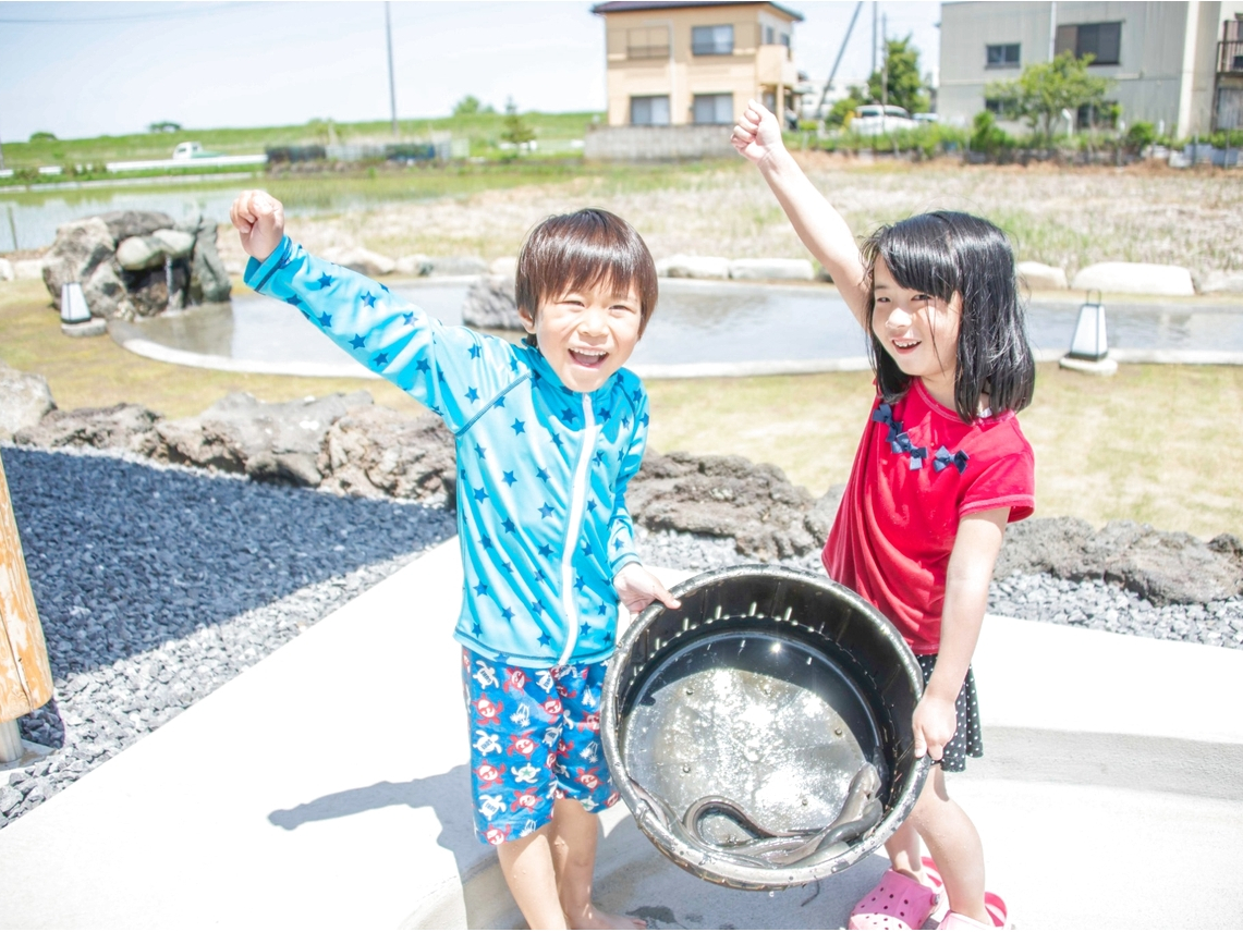千叶富村川鱼店本店捕鳗鱼体验