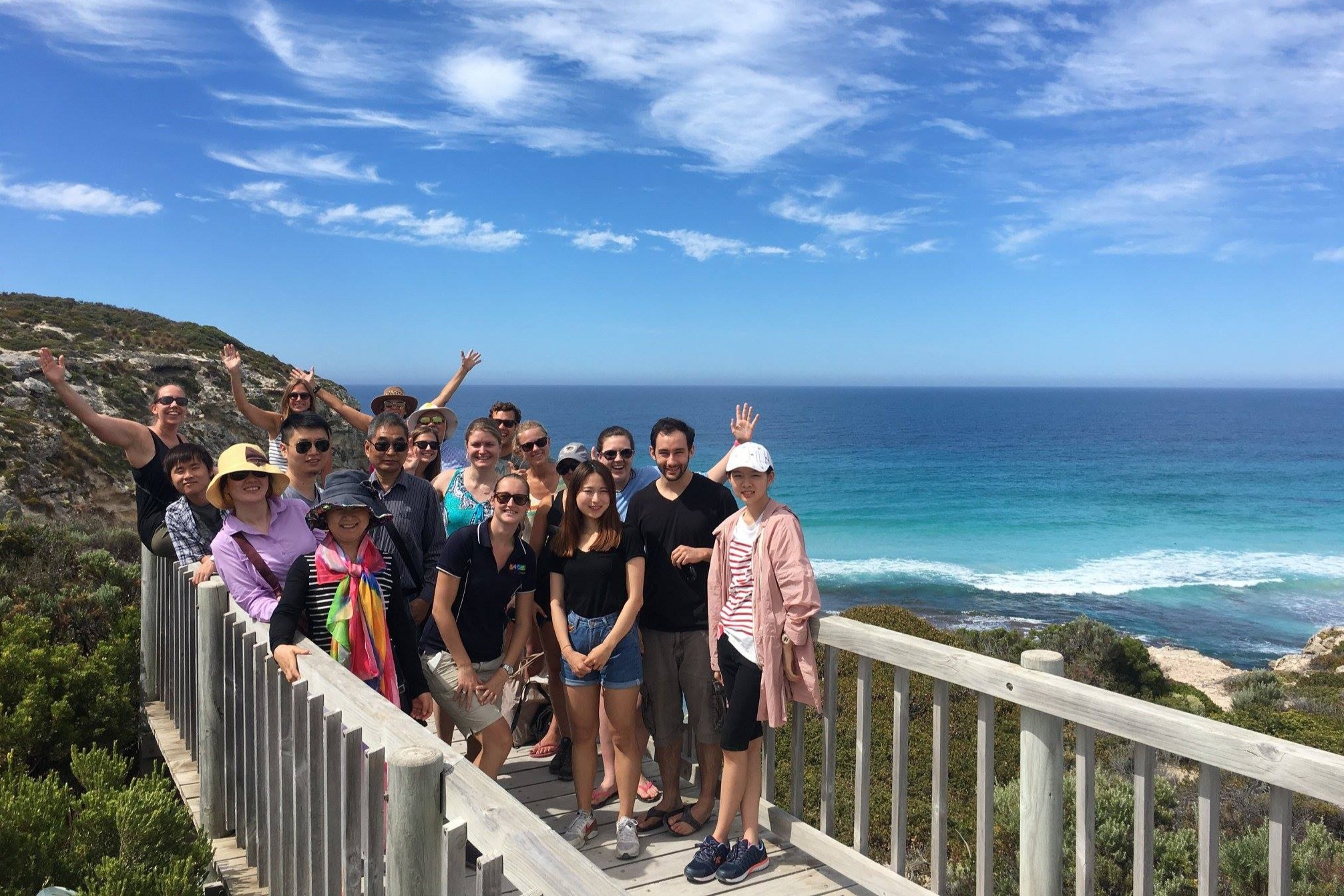 2 天袋鼠岛野生动物探险