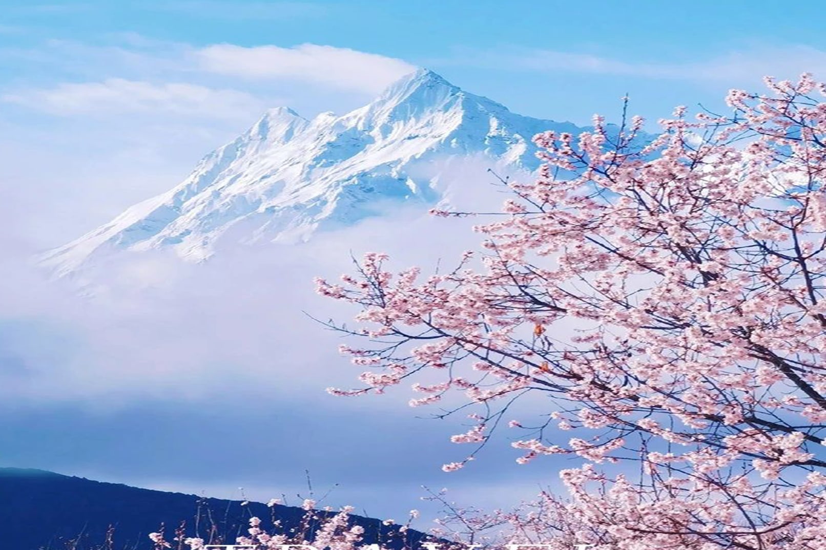 西藏林芝桃花6日（天后同款瑞吉/松赞系列+南迦巴瓦日照金山&平措康桑雪里酒店+嘎拉桃花村+索松村+卡若拉冰川+私导讲解布达拉宫大昭寺）