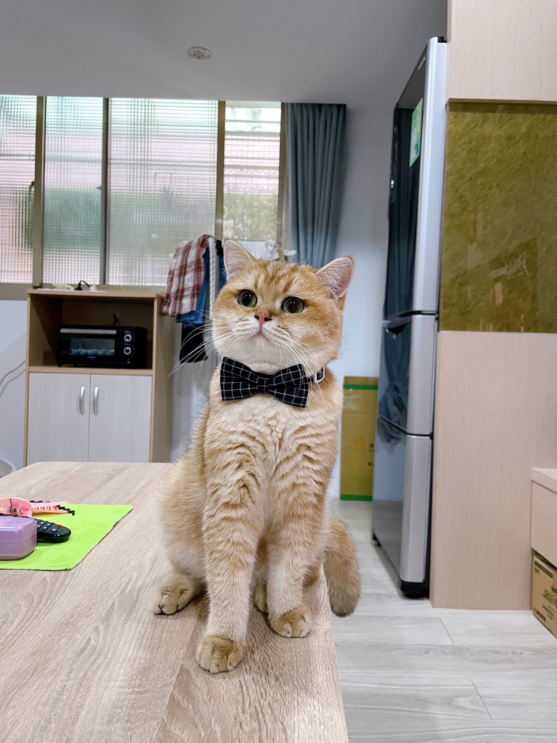 T&A 有条件取消测试 2