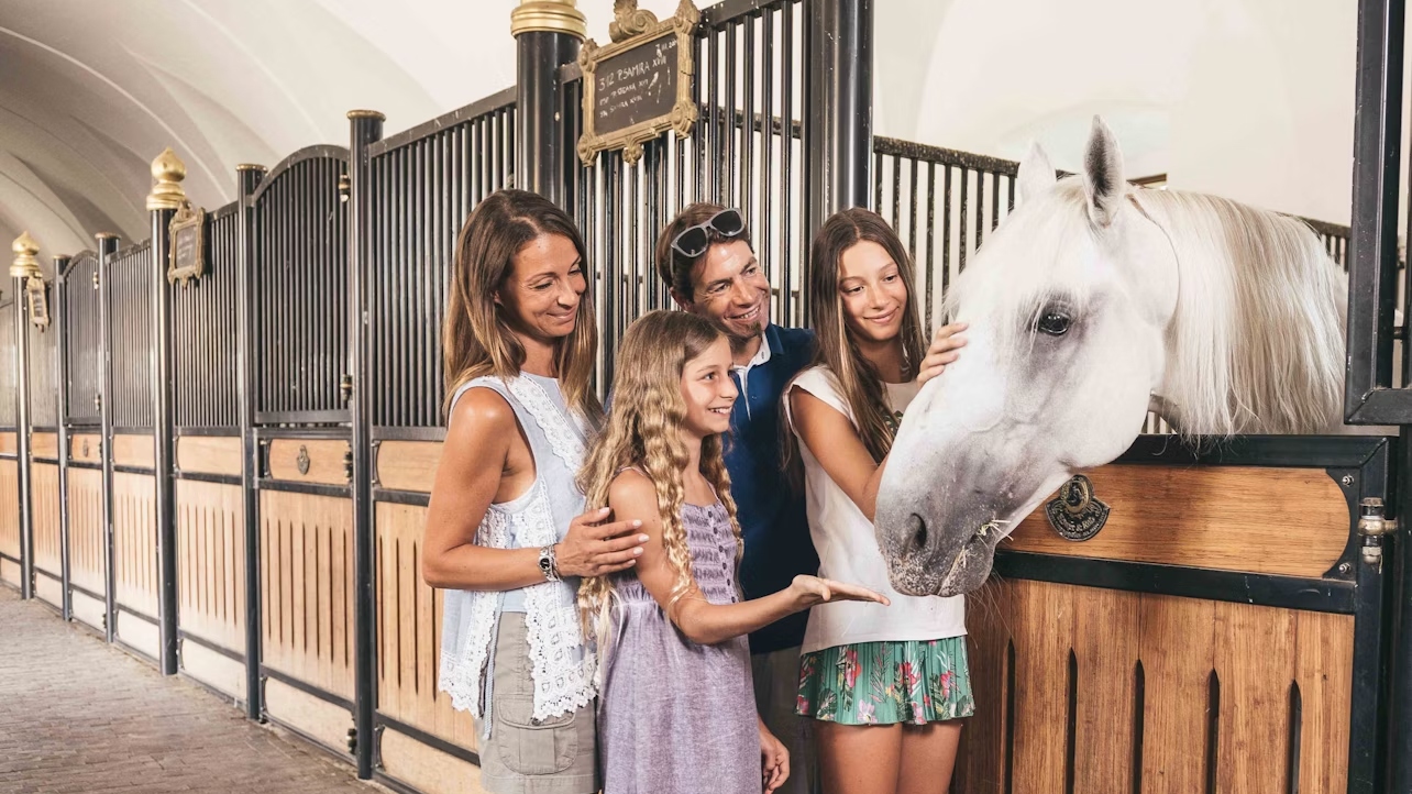 利比卡利比扎马场门票