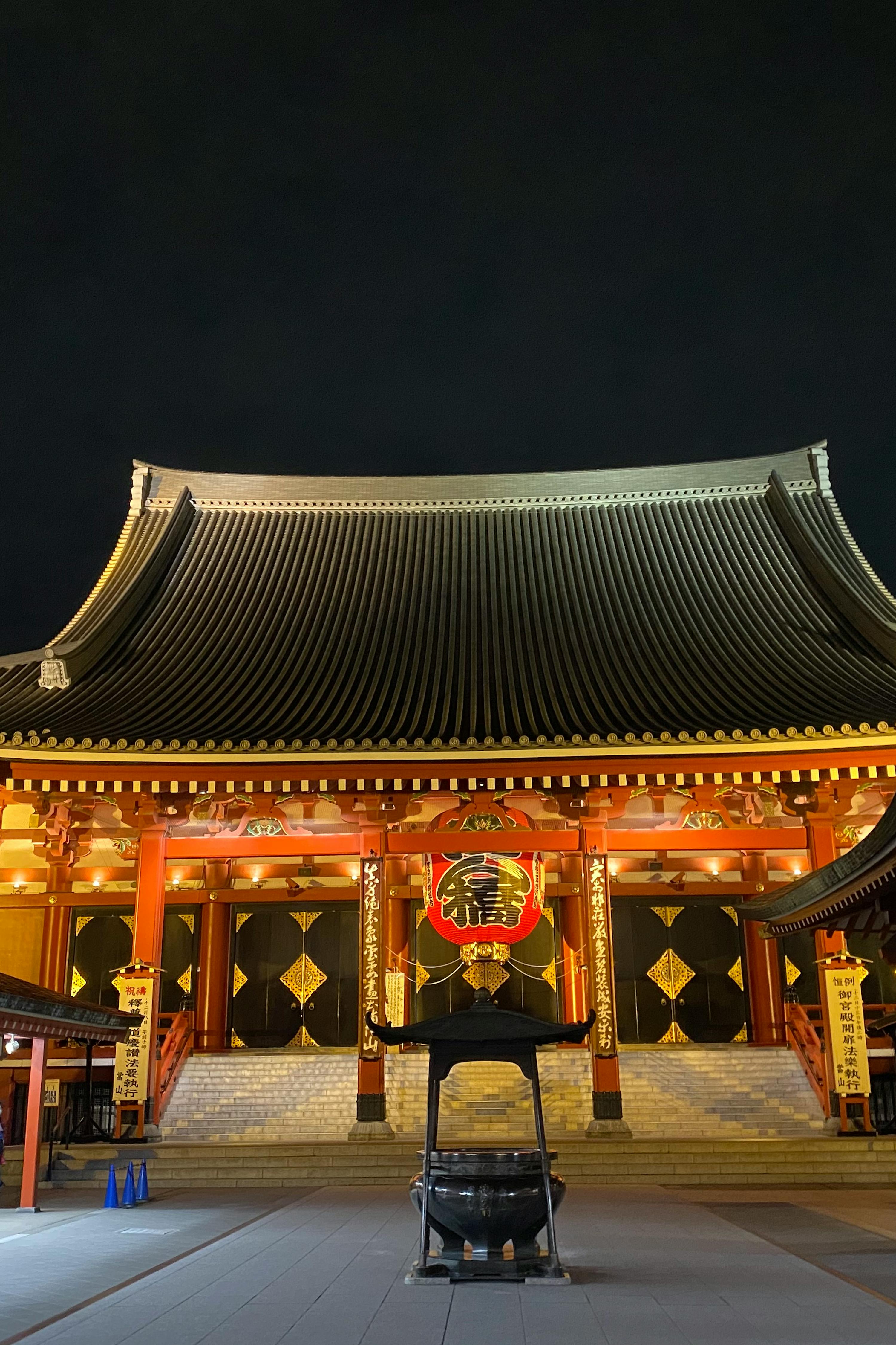 东京专车私人导览（含接送）