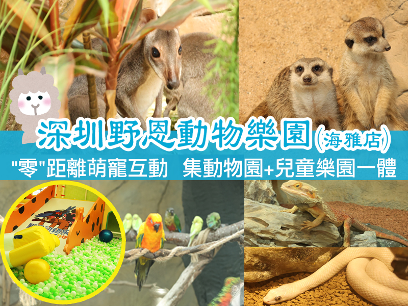 深圳野恩动物乐园（宝安海雅店）可触摸、可拥抱、投喂互动、零距离接触萌宠