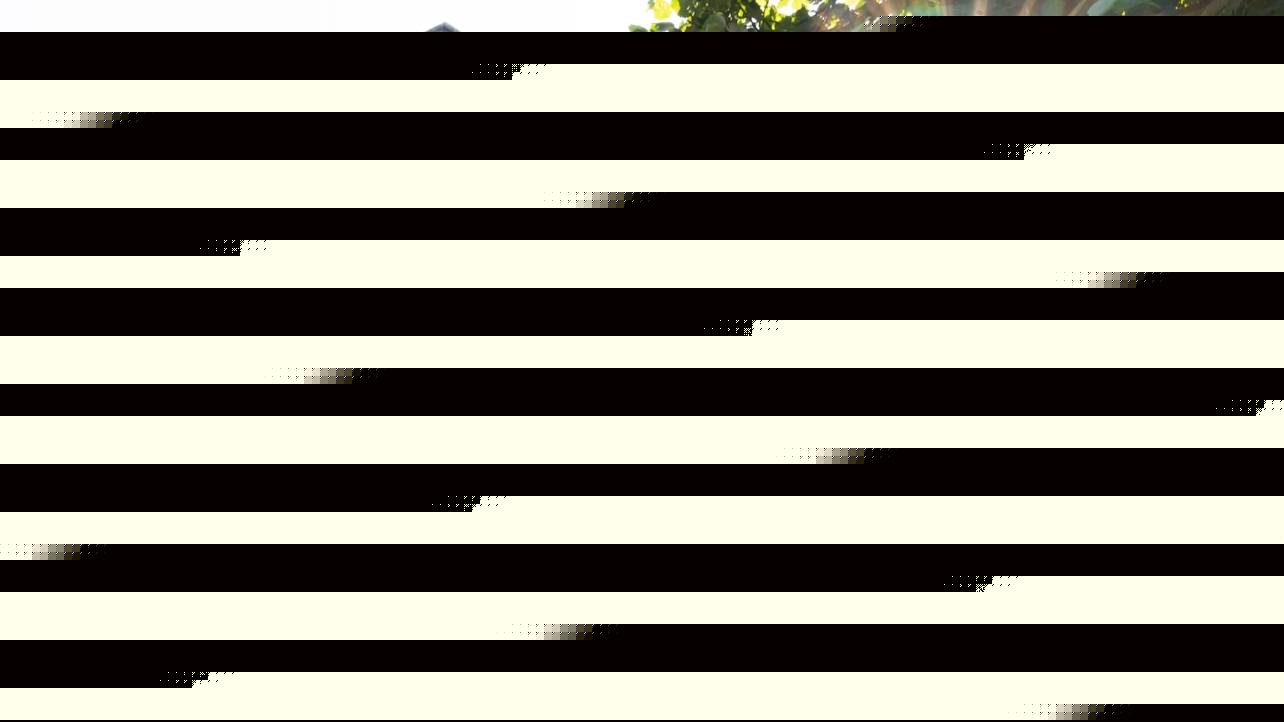 蒂娜巴尼与香妲艾克曼展览门票（Tina Barney and Chantal Akerman exhibition ticket）在欧洲之家（Jeu de Paume）