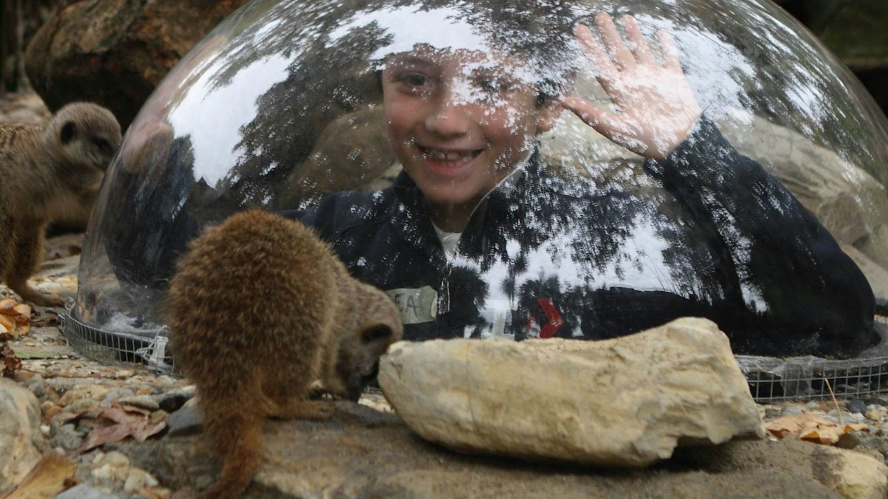 义大利皮斯托亚动物园 (Zoo of Pistoia)