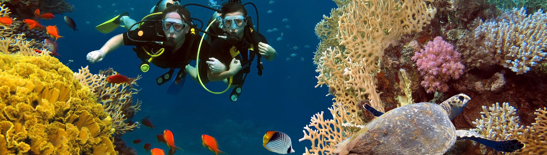 赫尔格达PADI水肺潜水员课程