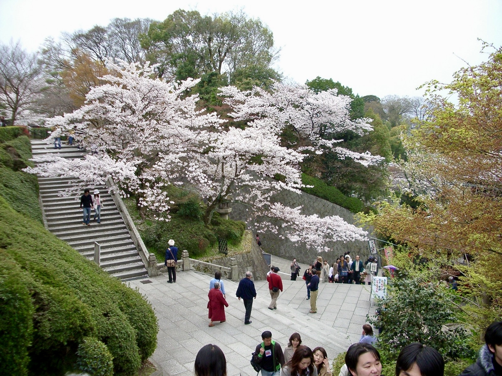 京都寺庙神社探索之旅：清水寺、八坂神社等