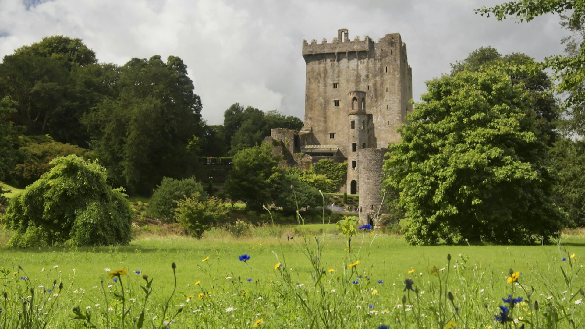 都柏林出发，科克、科夫和布拉尼城堡之旅