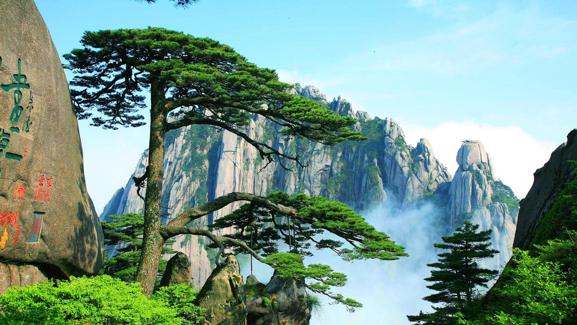 安徽黄山风景区二日游(错峰下午上山+住山顶酒店看晚霞日落+迎客松+光明顶）