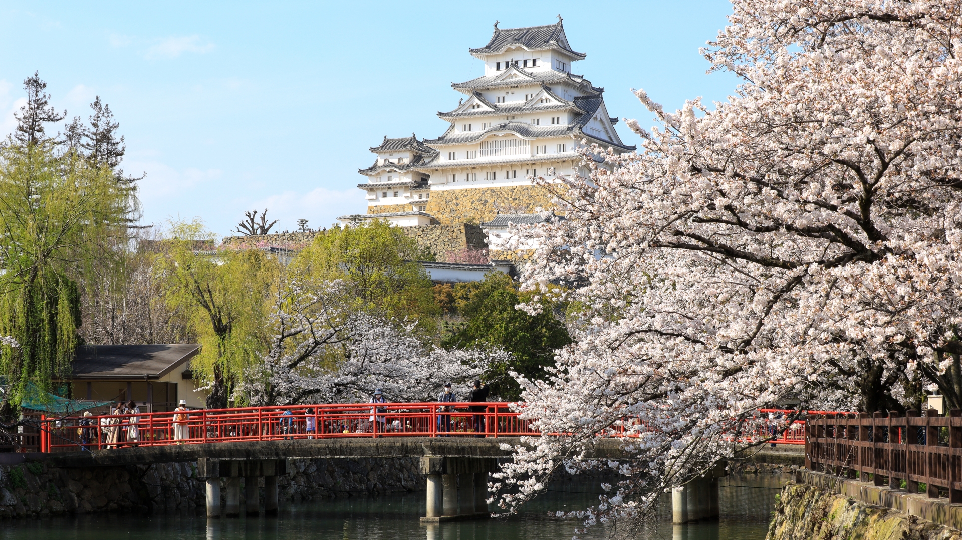 姬路城 3 小时私人历史文化之旅