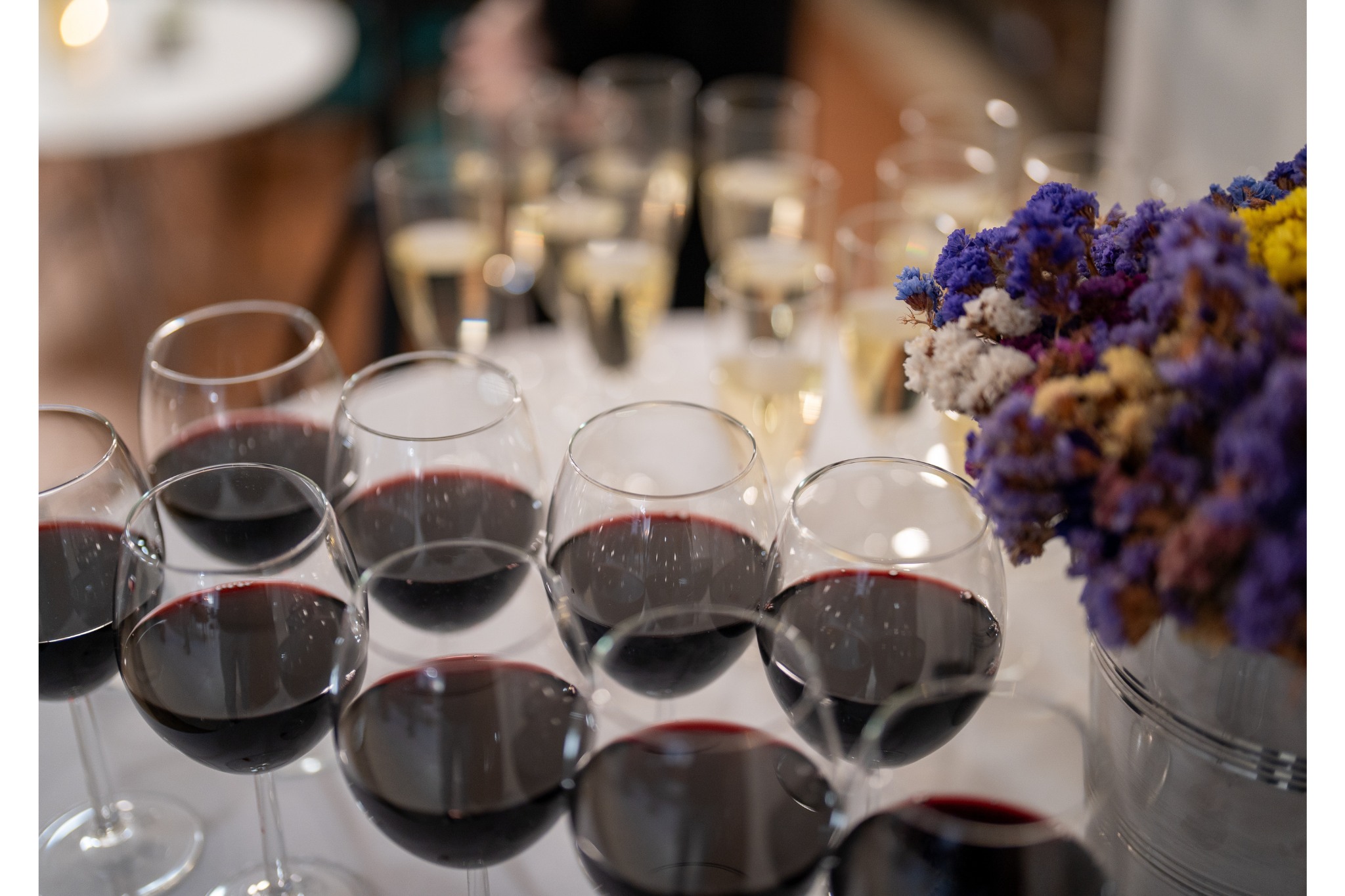 捷克之夜 - 独家捷克文化之晚