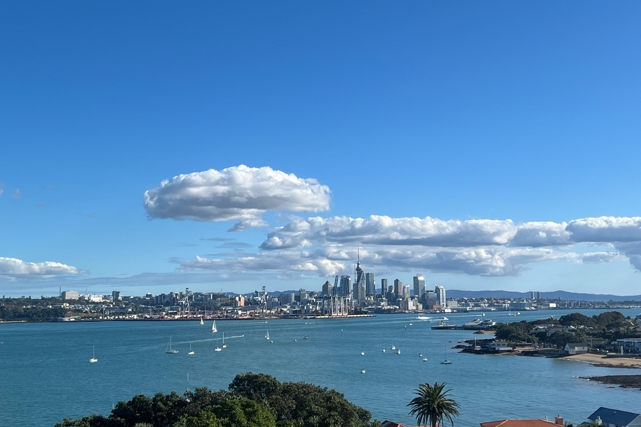 奥克兰 (Auckland) 市区精选景点半日私人游