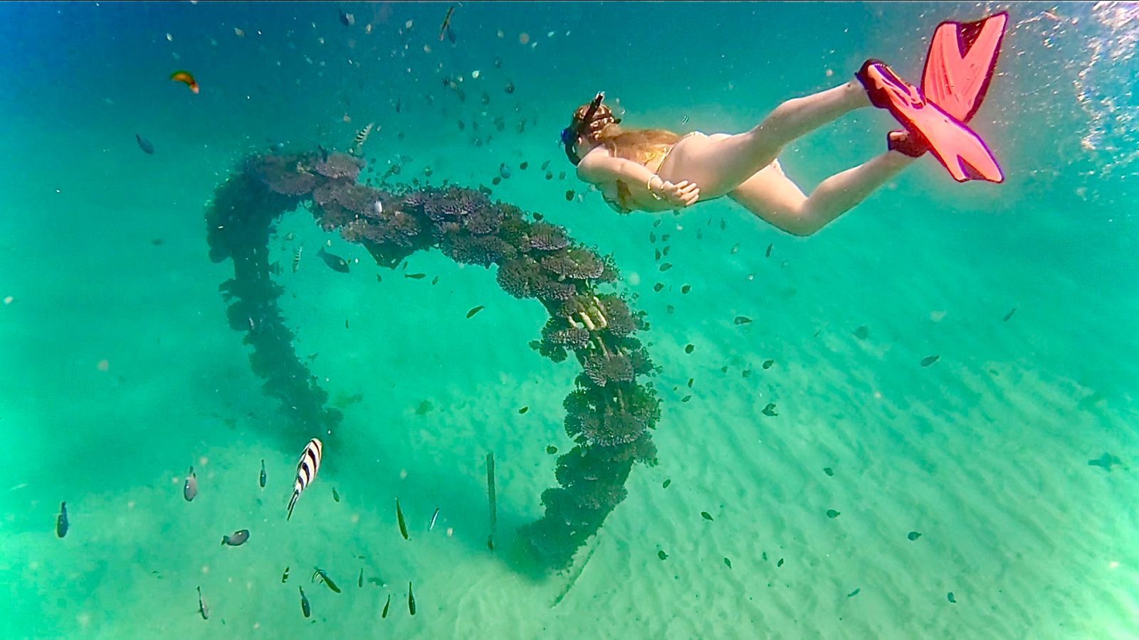 沙努尔 (Sanur) 海岸浮潜体验