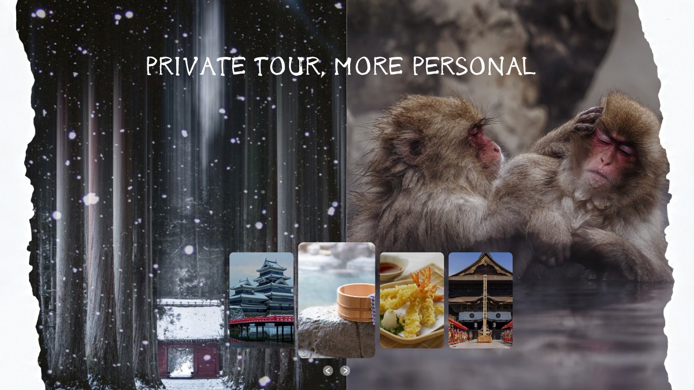 从新泻/妙高或長野县出发的包车游