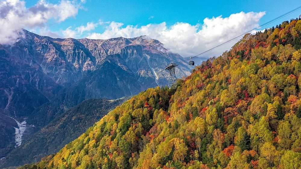 高山 - 新穗高巴士（Nohi Bus）