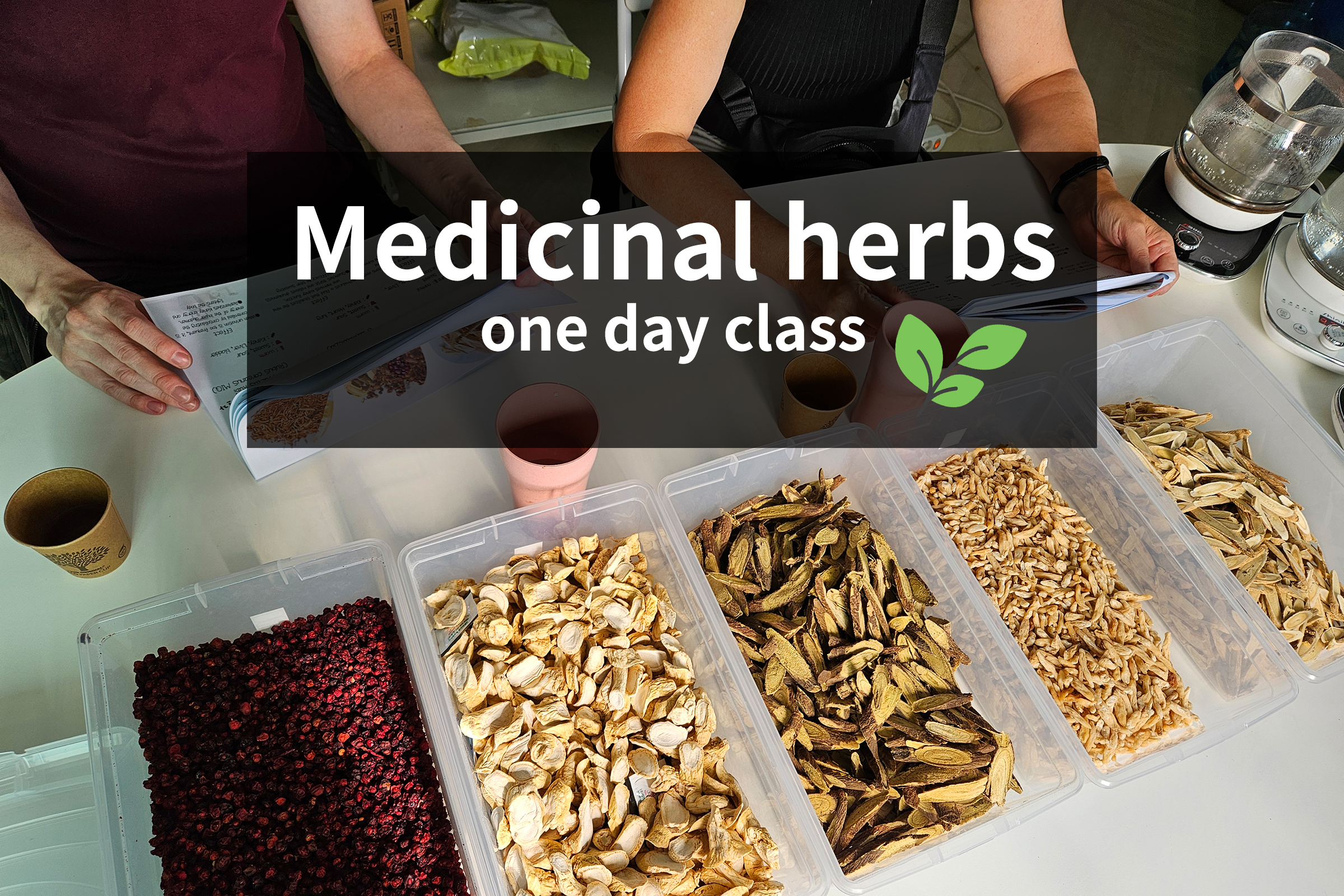 首尔50种草药和东方医学课程