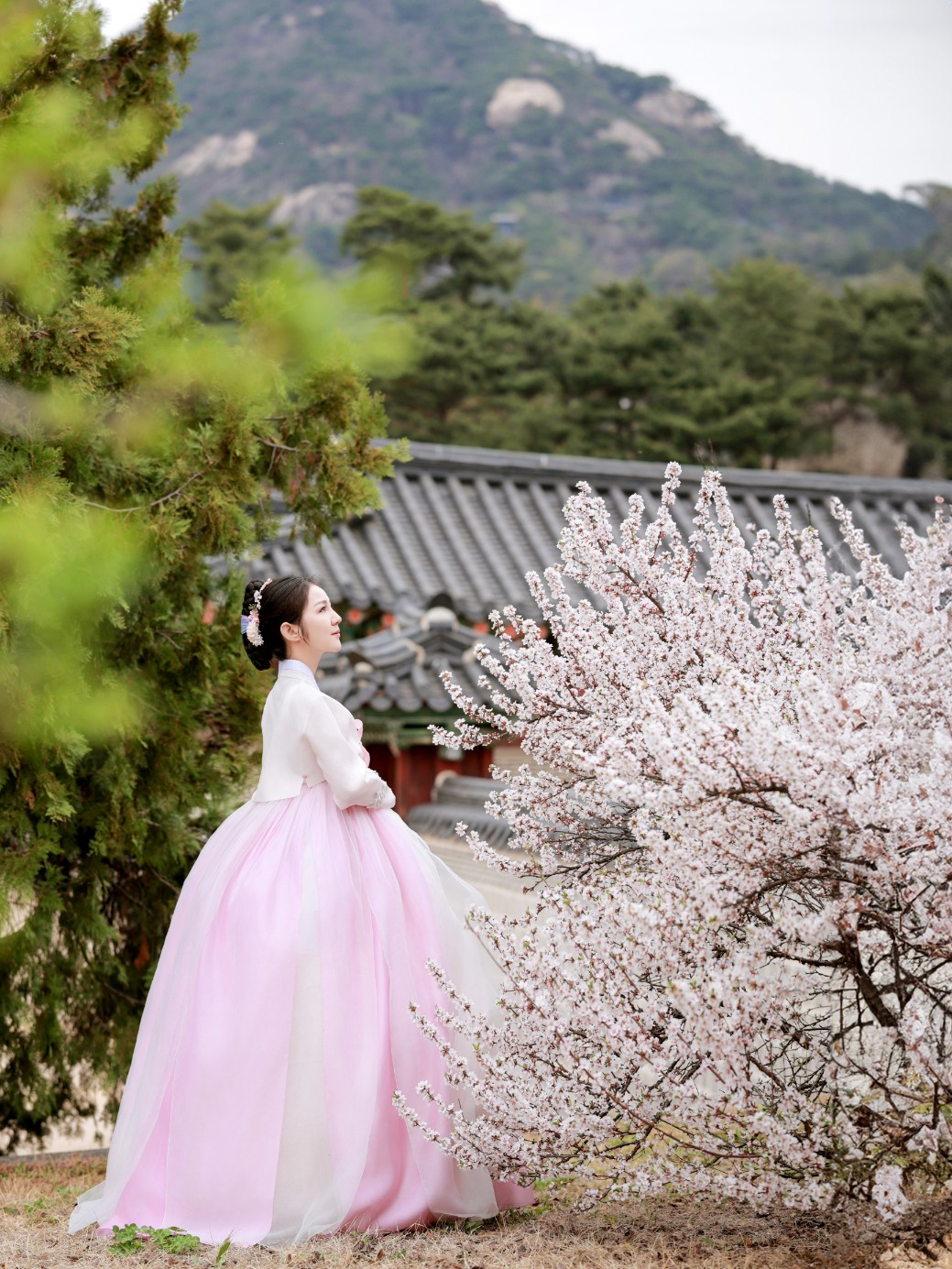 昌德宫韩服体验（Miso Hanbok）