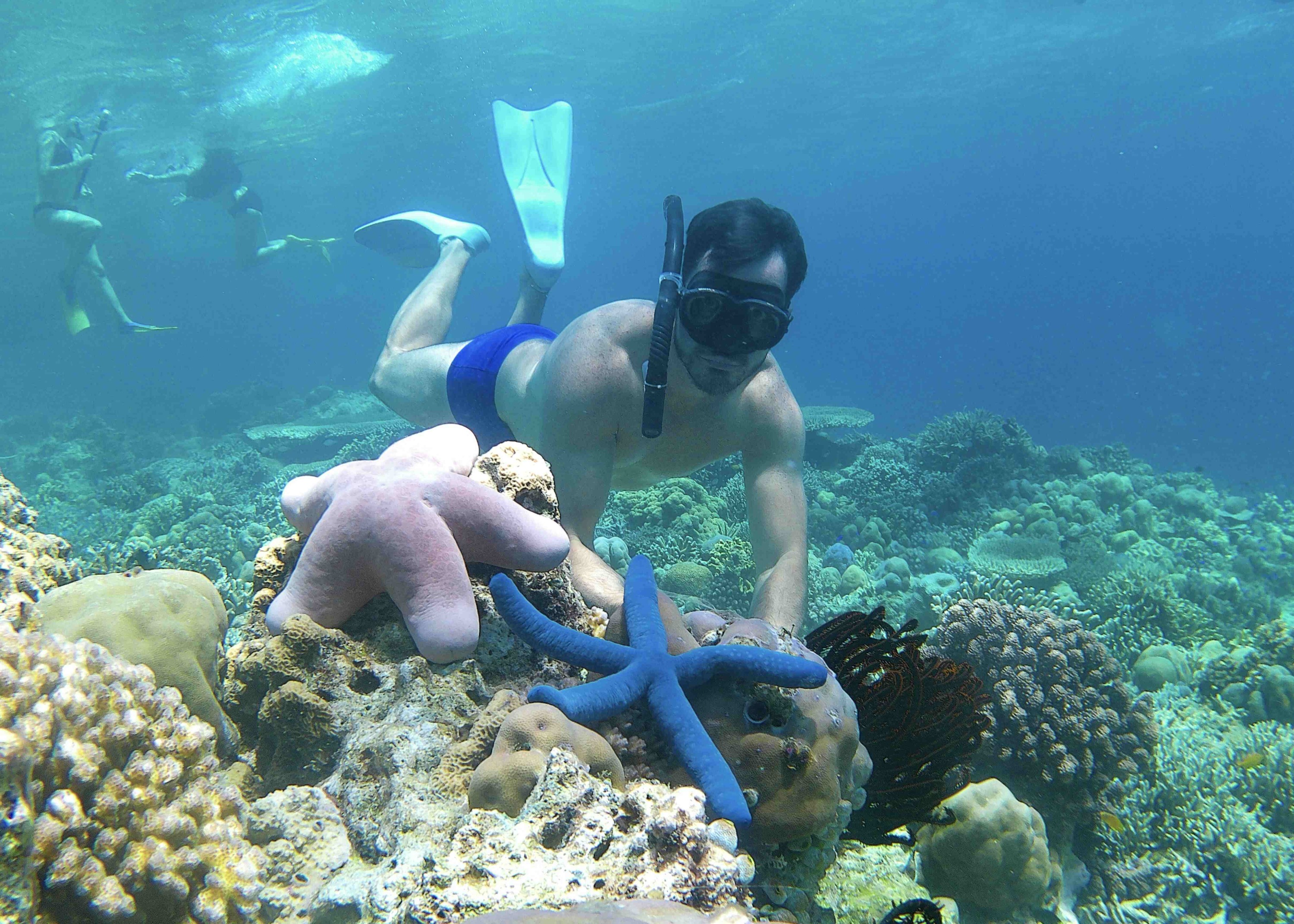 巴厘岛 / 班尤旺吉出发 - 图姆帕克塞武 / 布罗莫火山 / 塔布汉岛一日游